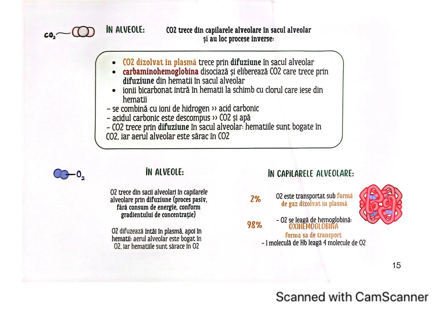 # MEDICINIST<sup>to be</sup>
SISTEMUL
RESPIRATOR
Scanned with CamScanner --- OCR Start ---
FARINGE
ORGANELE ȘI STRUCTURILE SISTEMULUI RESP