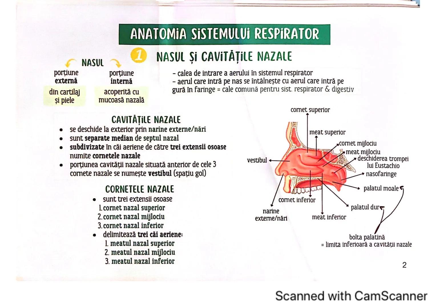# MEDICINIST<sup>to be</sup>
SISTEMUL
RESPIRATOR
Scanned with CamScanner --- OCR Start ---
FARINGE
ORGANELE ȘI STRUCTURILE SISTEMULUI RESP