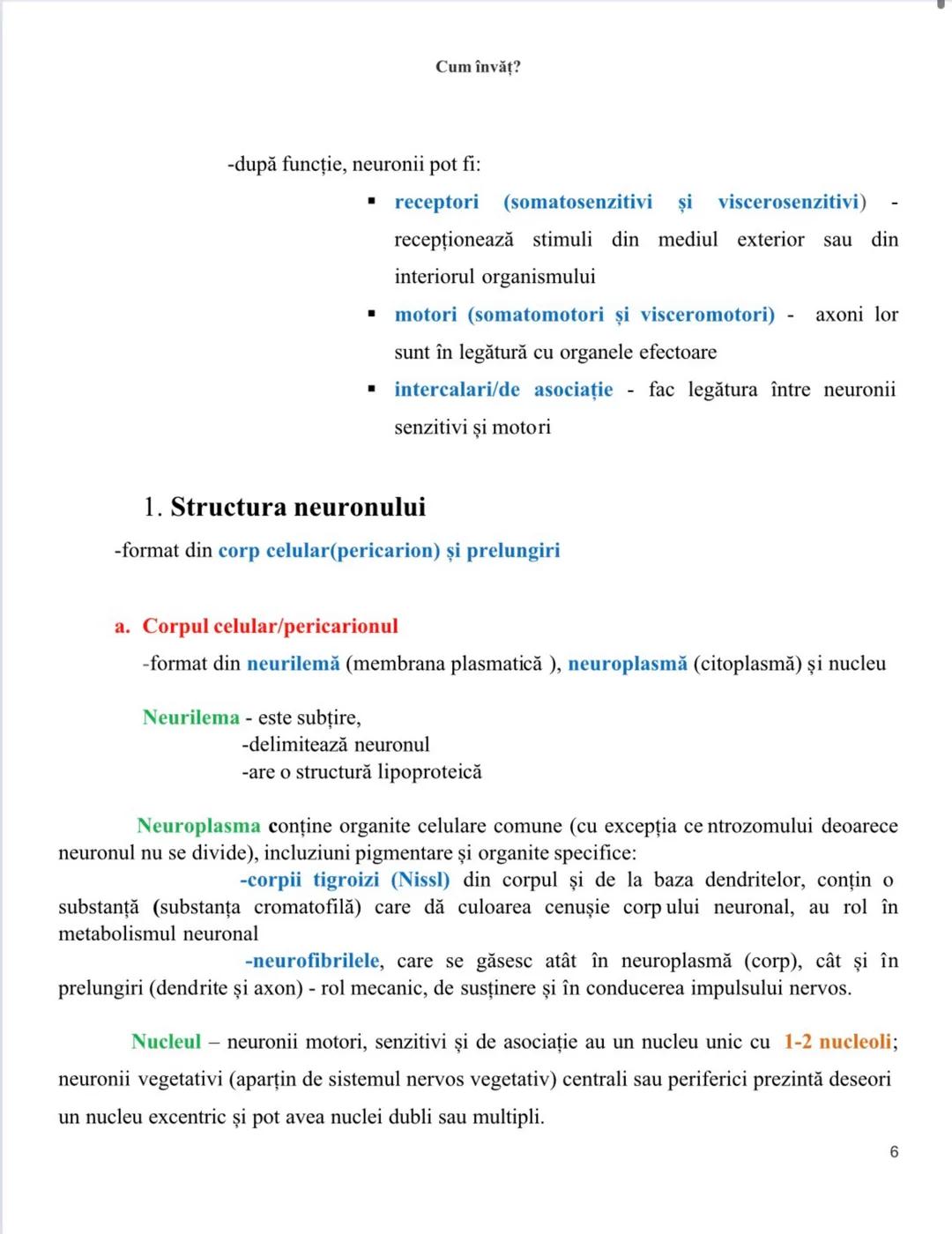 Cum învăţ?
-după funcție, neuronii pot fi:
- receptori (somatosenzitivi şi viscerosenzitivi)
recepționează stimuli din mediul exterior sau d