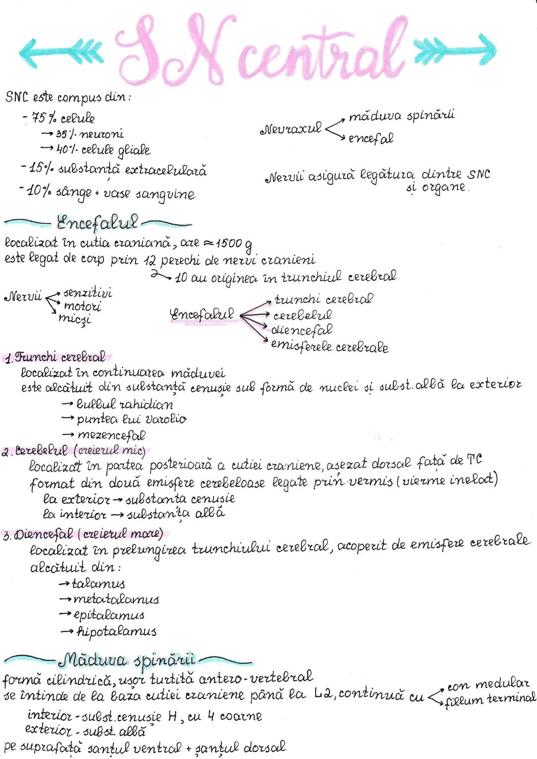 # Impuls nervos
Celula nervoasă are proprietatile de excitabilitate si conductibilitate,
adică poate genera un potential de acțiune care se