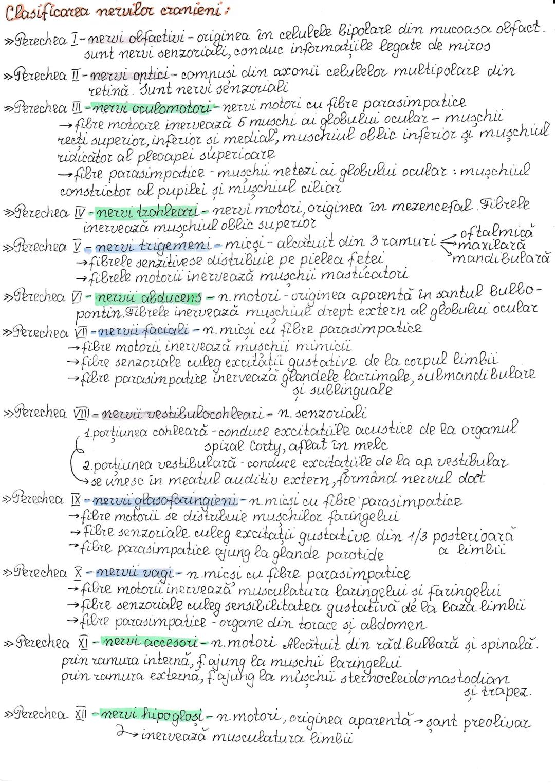 # Impuls nervos
Celula nervoasă are proprietatile de excitabilitate si conductibilitate,
adică poate genera un potential de acțiune care se