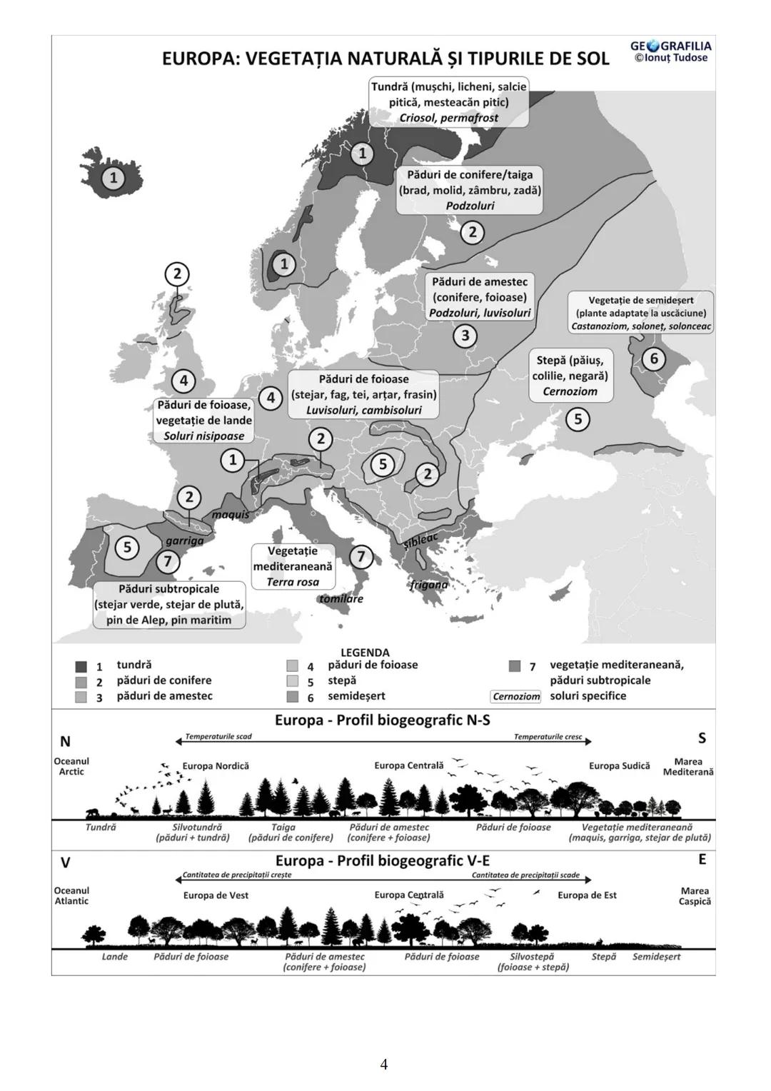 LEGENDA
■peninsulă
insulă
▲ deltă
✔estuar
prescurtări
de pe hartă:
i. = insula
i-le = insulele
pen. = peninsula
M. = marea
G. = golful