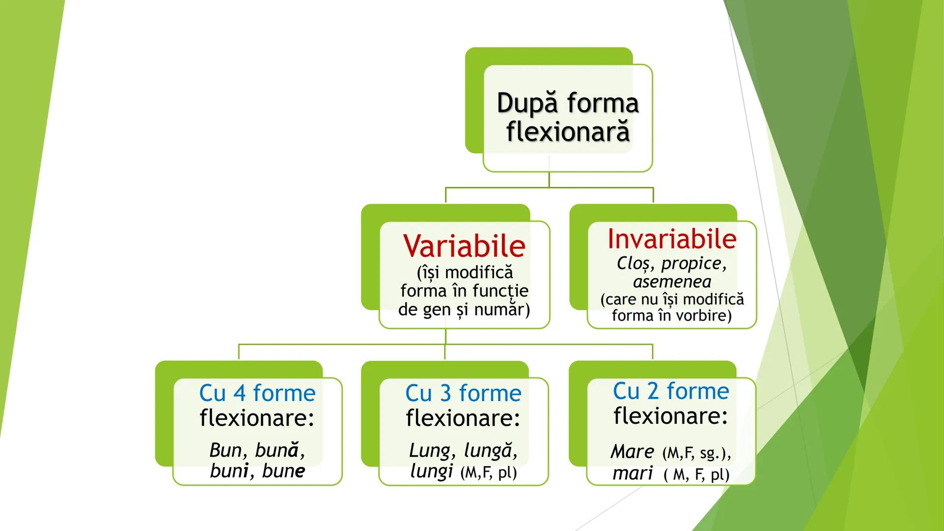 # Adjectivul
Clasa a VII-a Completează cu adjective potrivite:
a) lume _______________ ; b) pădurea _______________ ; c) _______________ sp