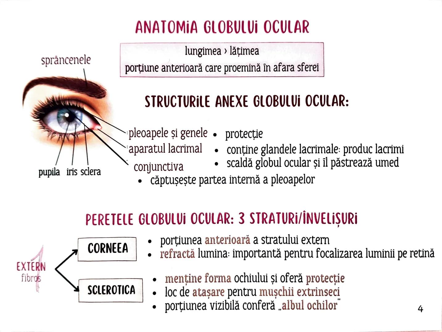 # MEDICINIST
# ORGANELE
DE SIMȚ --- OCR Start ---
TIPURI DE RECEPTORİ
1
După localizare:
EXTERO- RECEPTORI
la suprafața corpului PROPRIO- R