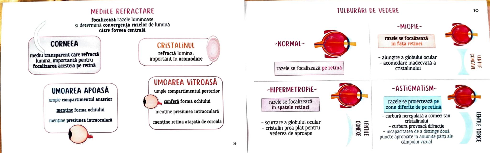 # MEDICINIST
# ORGANELE
DE SIMȚ --- OCR Start ---
TIPURI DE RECEPTORİ
1
După localizare:
EXTERO- RECEPTORI
la suprafața corpului PROPRIO- R