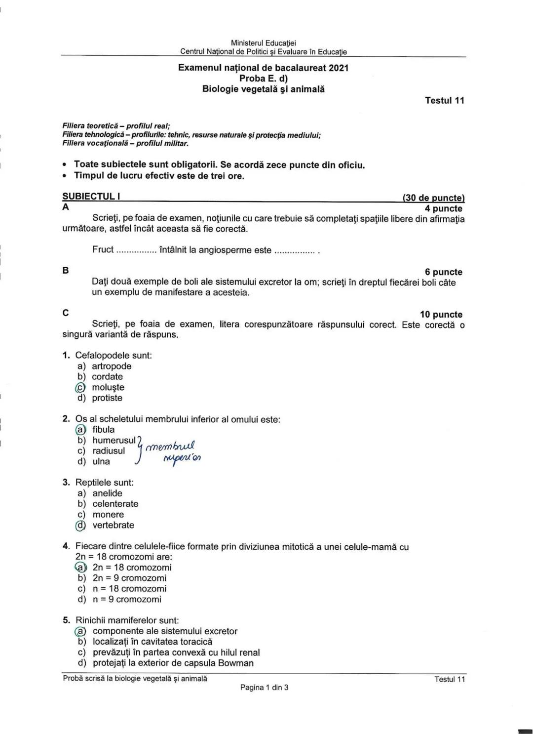 Ministerul Educaţiei
Centrul Naţional de Politici şi Evaluare în Educaţie
Examenul național de bacalaureat 2021
Proba E. d)
Biologie vegetal