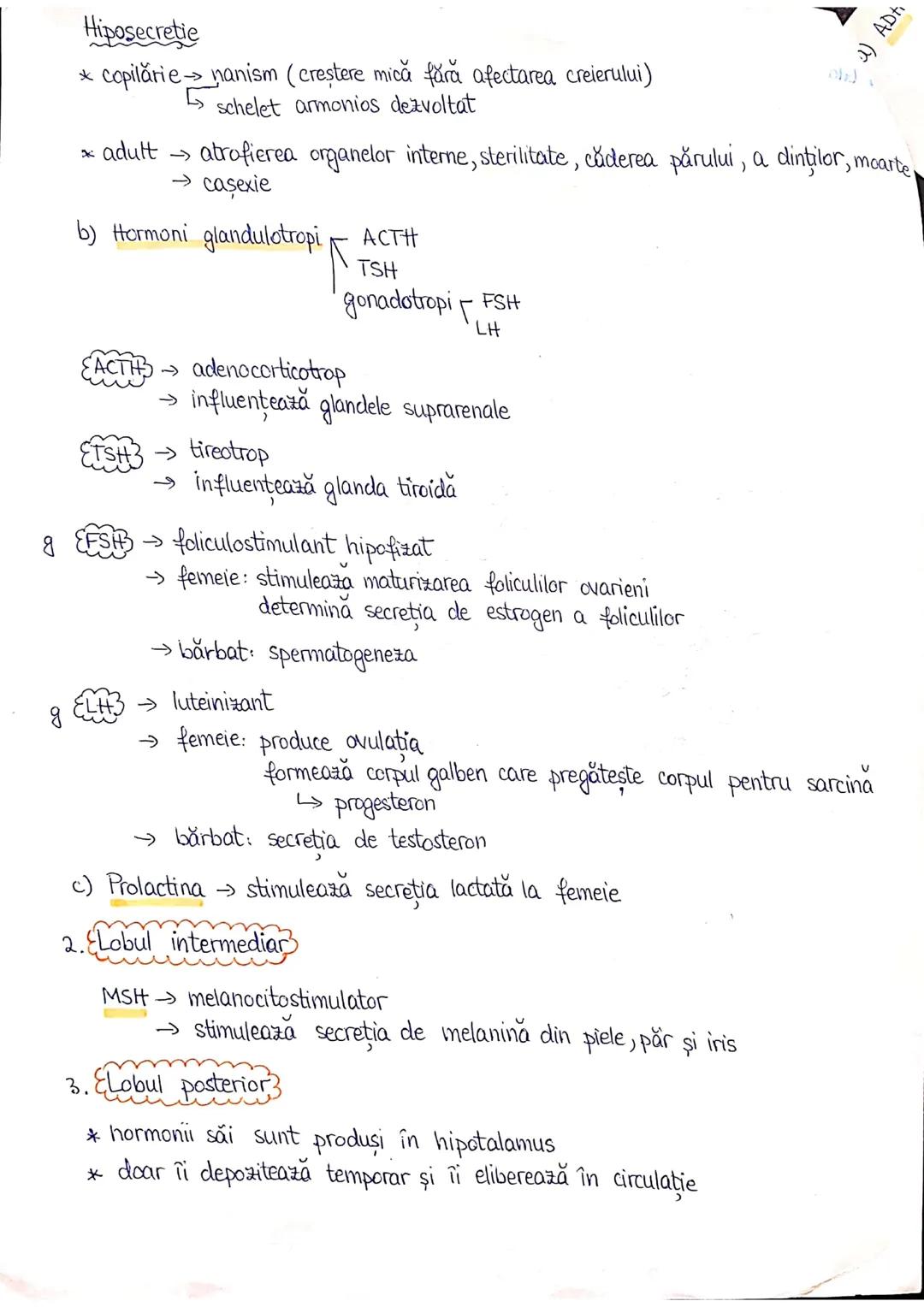 --- OCR Start ---
PLANURI SI RAPORTURI ANATOMICE
TOPOGRAFIA ORGANELORN
Axele corpului omenesc.
Superior (cranial)
posterior(dorsal)
ax longi