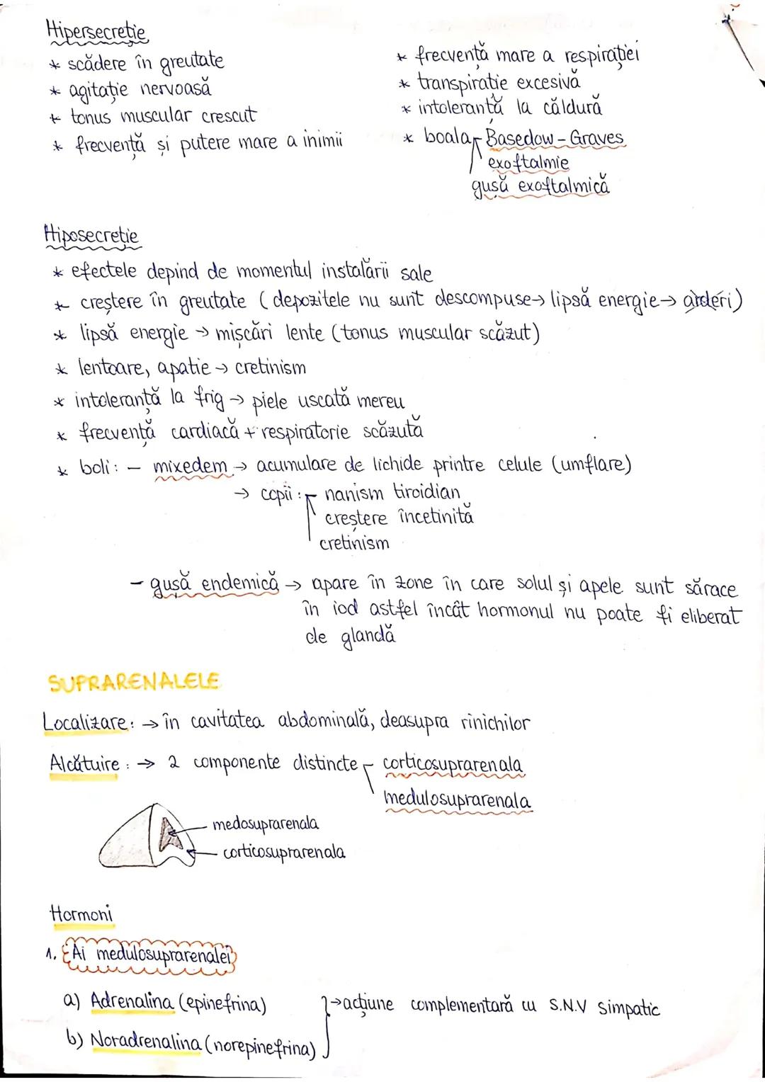 --- OCR Start ---
PLANURI SI RAPORTURI ANATOMICE
TOPOGRAFIA ORGANELORN
Axele corpului omenesc.
Superior (cranial)
posterior(dorsal)
ax longi