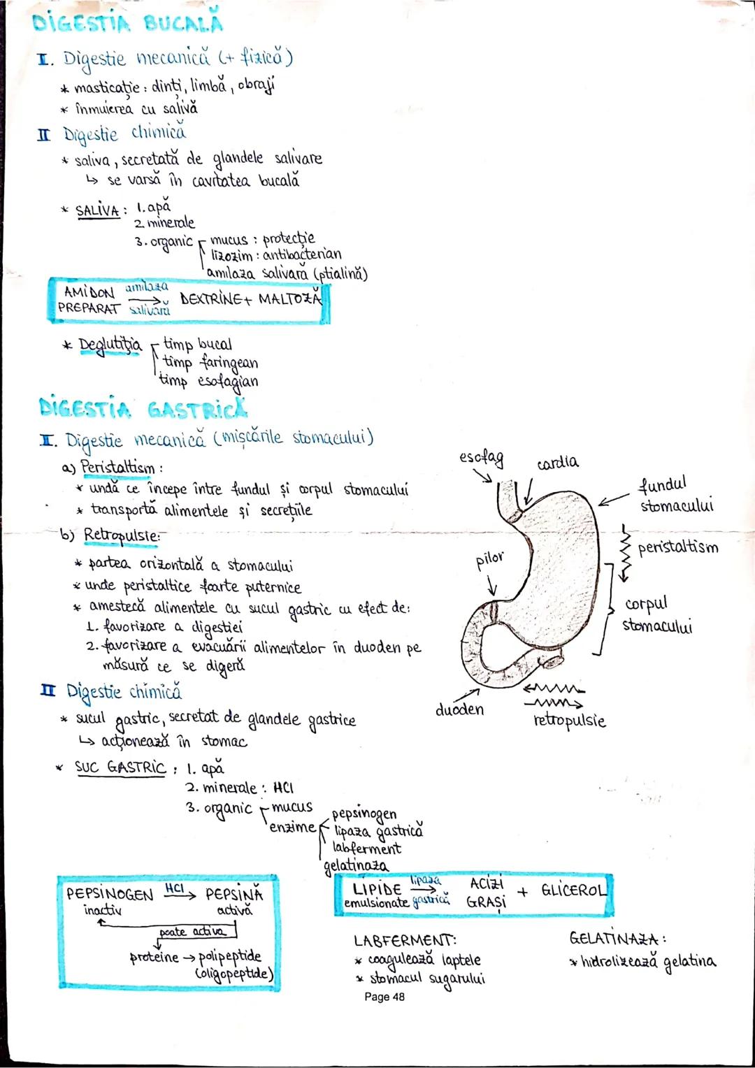 --- OCR Start ---
PLANURI SI RAPORTURI ANATOMICE
TOPOGRAFIA ORGANELORN
Axele corpului omenesc.
Superior (cranial)
posterior(dorsal)
ax longi