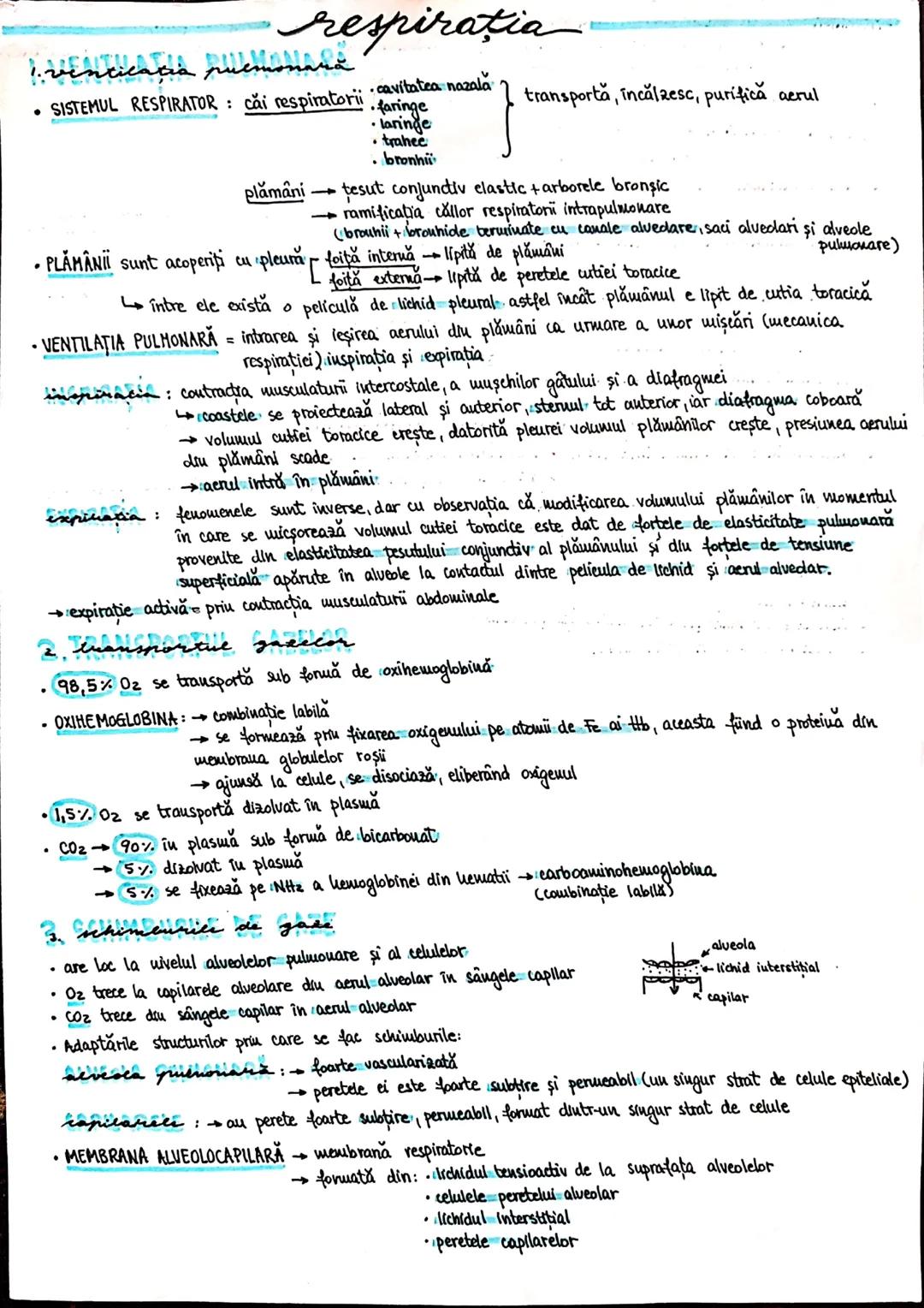 --- OCR Start ---
PLANURI SI RAPORTURI ANATOMICE
TOPOGRAFIA ORGANELORN
Axele corpului omenesc.
Superior (cranial)
posterior(dorsal)
ax longi