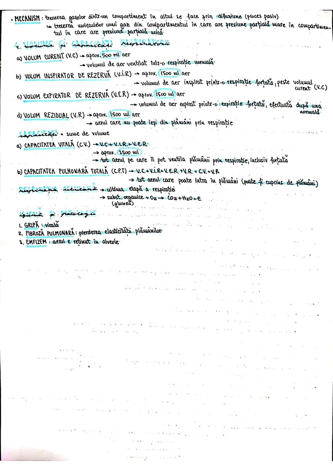 --- OCR Start ---
PLANURI SI RAPORTURI ANATOMICE
TOPOGRAFIA ORGANELORN
Axele corpului omenesc.
Superior (cranial)
posterior(dorsal)
ax longi