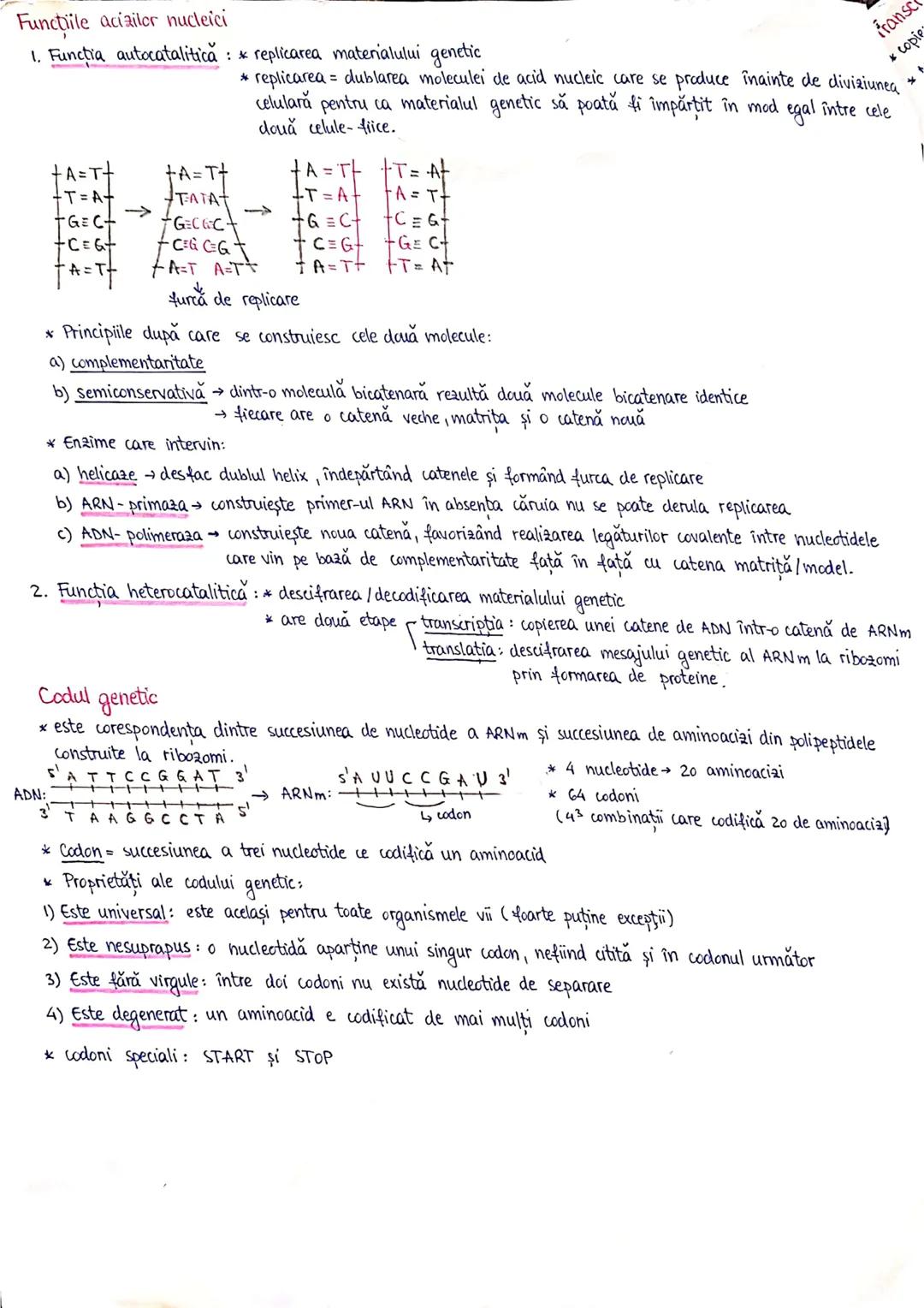 --- OCR Start ---
PLANURI SI RAPORTURI ANATOMICE
TOPOGRAFIA ORGANELORN
Axele corpului omenesc.
Superior (cranial)
posterior(dorsal)
ax longi