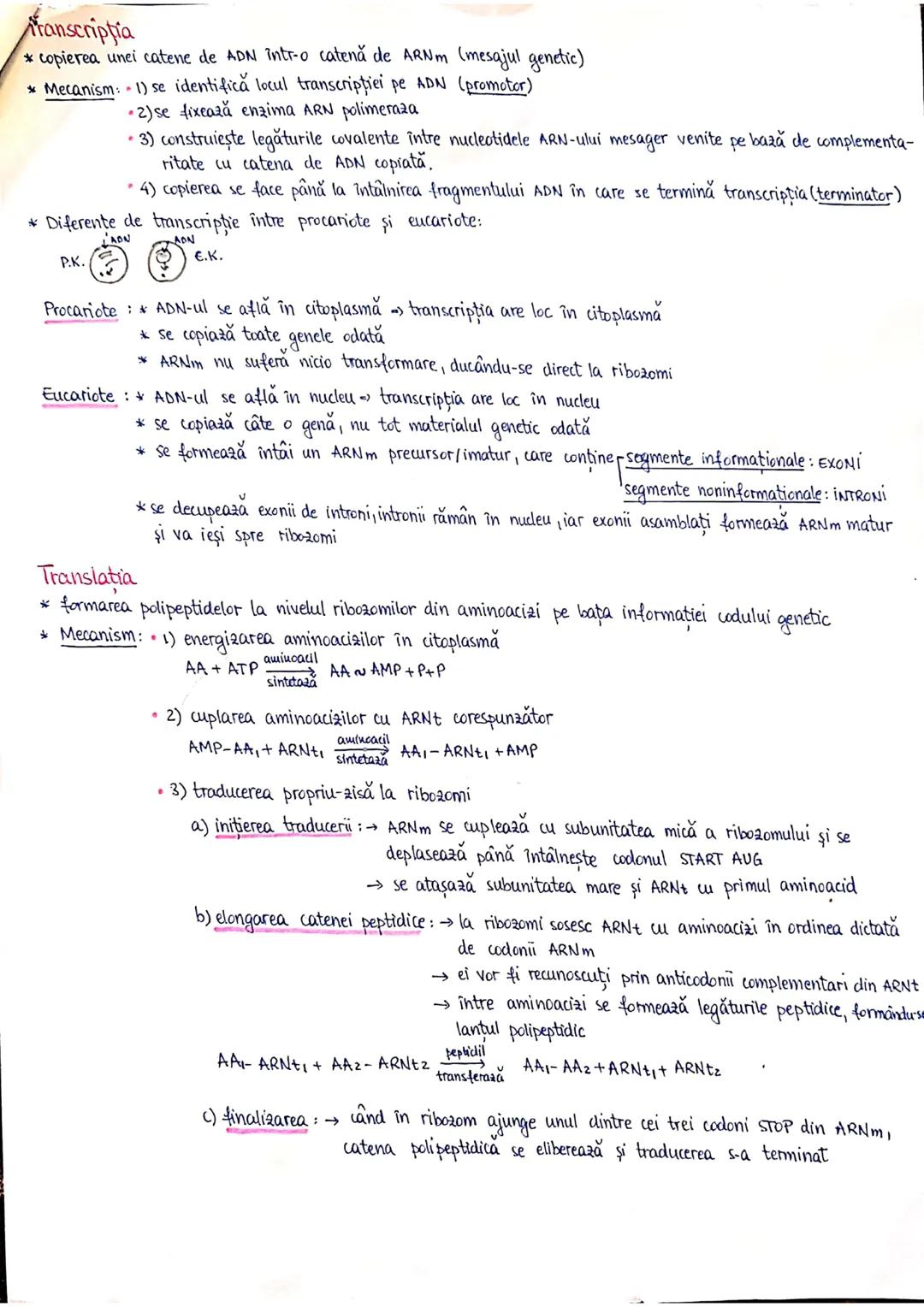 --- OCR Start ---
PLANURI SI RAPORTURI ANATOMICE
TOPOGRAFIA ORGANELORN
Axele corpului omenesc.
Superior (cranial)
posterior(dorsal)
ax longi