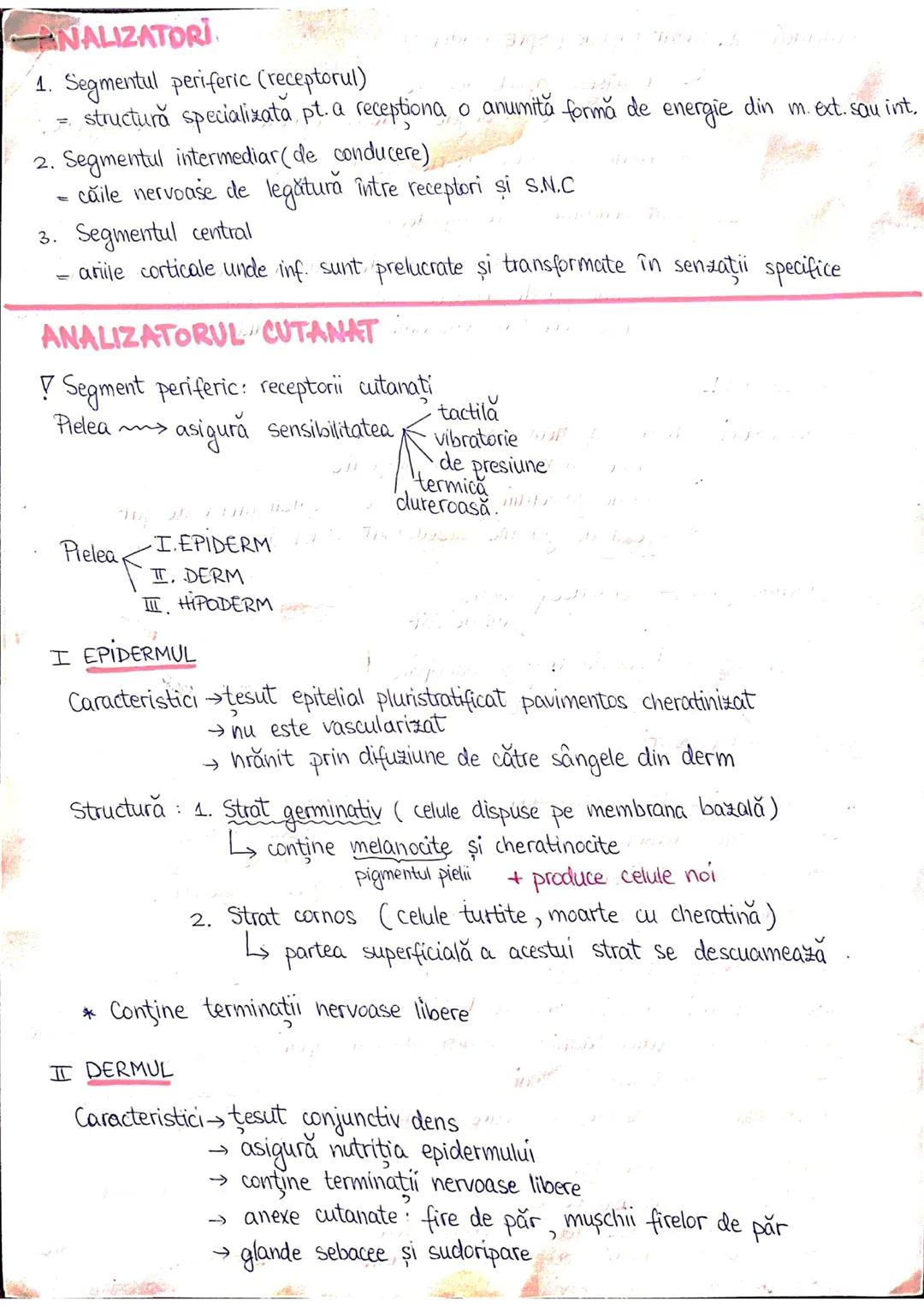 --- OCR Start ---
PLANURI SI RAPORTURI ANATOMICE
TOPOGRAFIA ORGANELORN
Axele corpului omenesc.
Superior (cranial)
posterior(dorsal)
ax longi