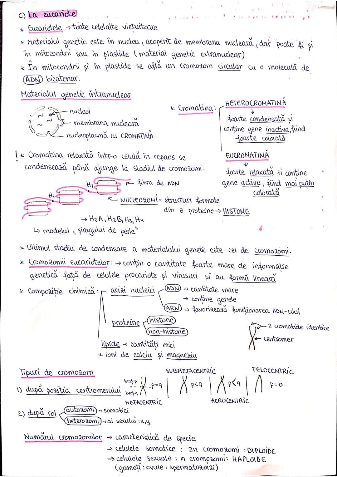 --- OCR Start ---
PLANURI SI RAPORTURI ANATOMICE
TOPOGRAFIA ORGANELORN
Axele corpului omenesc.
Superior (cranial)
posterior(dorsal)
ax longi