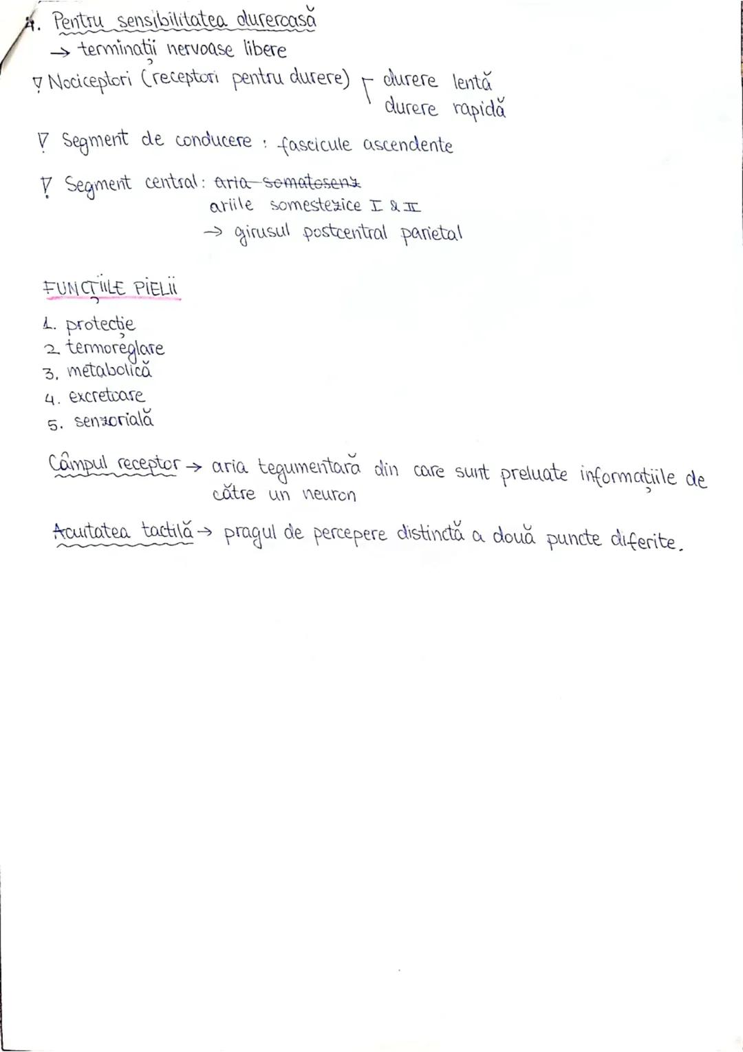 --- OCR Start ---
PLANURI SI RAPORTURI ANATOMICE
TOPOGRAFIA ORGANELORN
Axele corpului omenesc.
Superior (cranial)
posterior(dorsal)
ax longi
