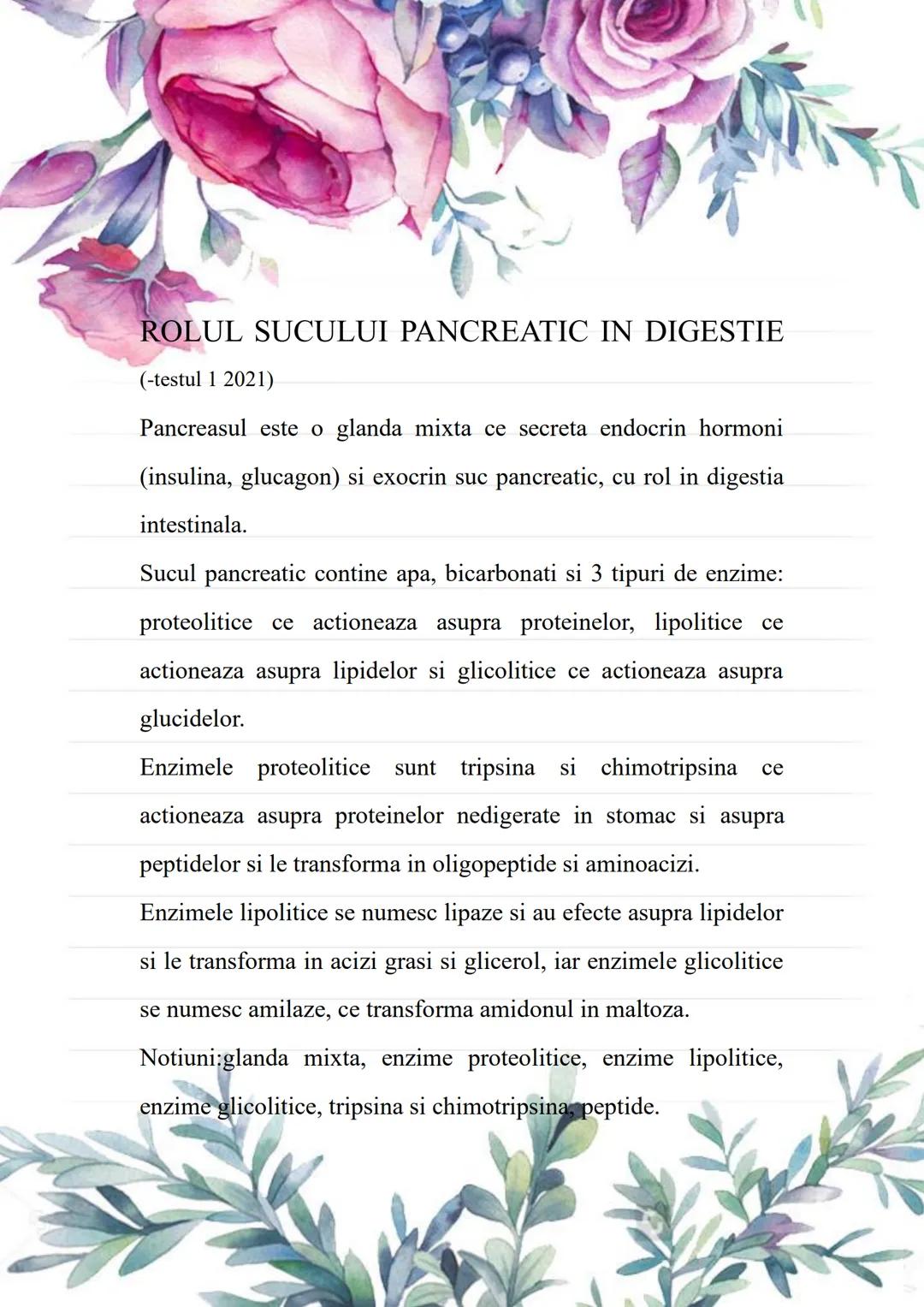 --- OCR Start ---
BACALAUREAT
SUBIII.MINI-ESEURI ANATOMIE
Cursuri de 10 Anatomie
Alexandra Nedelea 0730957398;
cursuride10anatomie@gmail.com