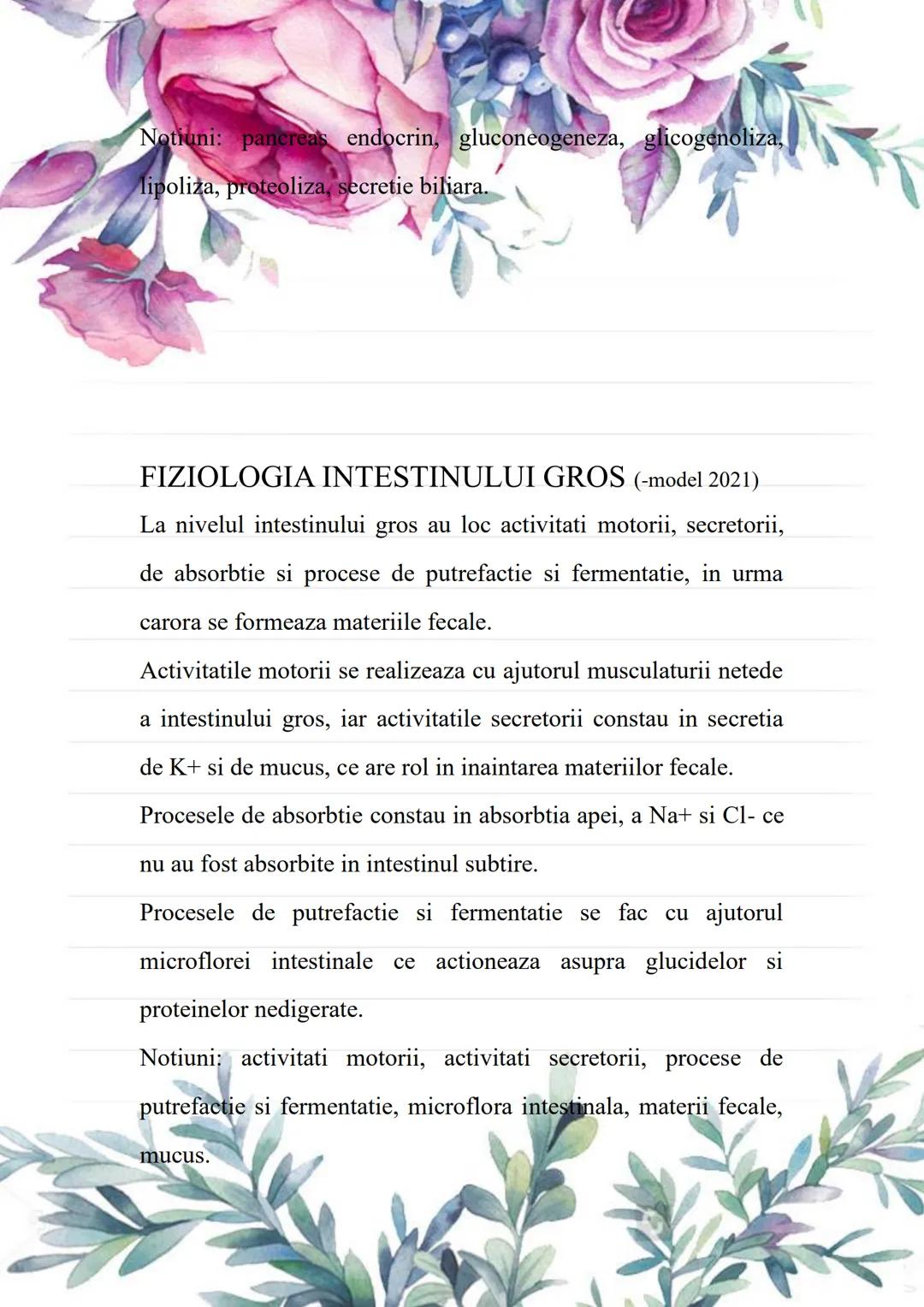 --- OCR Start ---
BACALAUREAT
SUBIII.MINI-ESEURI ANATOMIE
Cursuri de 10 Anatomie
Alexandra Nedelea 0730957398;
cursuride10anatomie@gmail.com