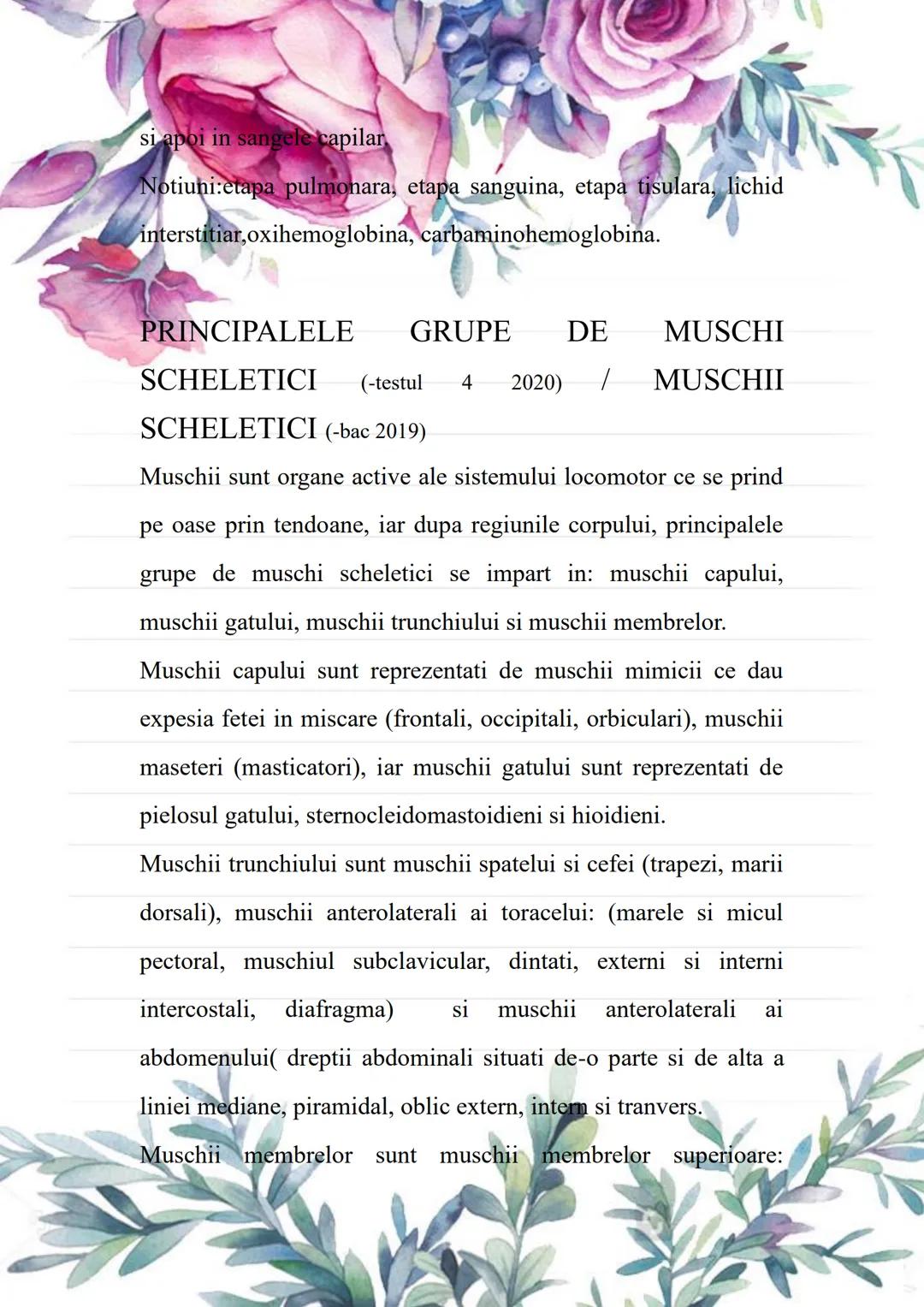 --- OCR Start ---
BACALAUREAT
SUBIII.MINI-ESEURI ANATOMIE
Cursuri de 10 Anatomie
Alexandra Nedelea 0730957398;
cursuride10anatomie@gmail.com