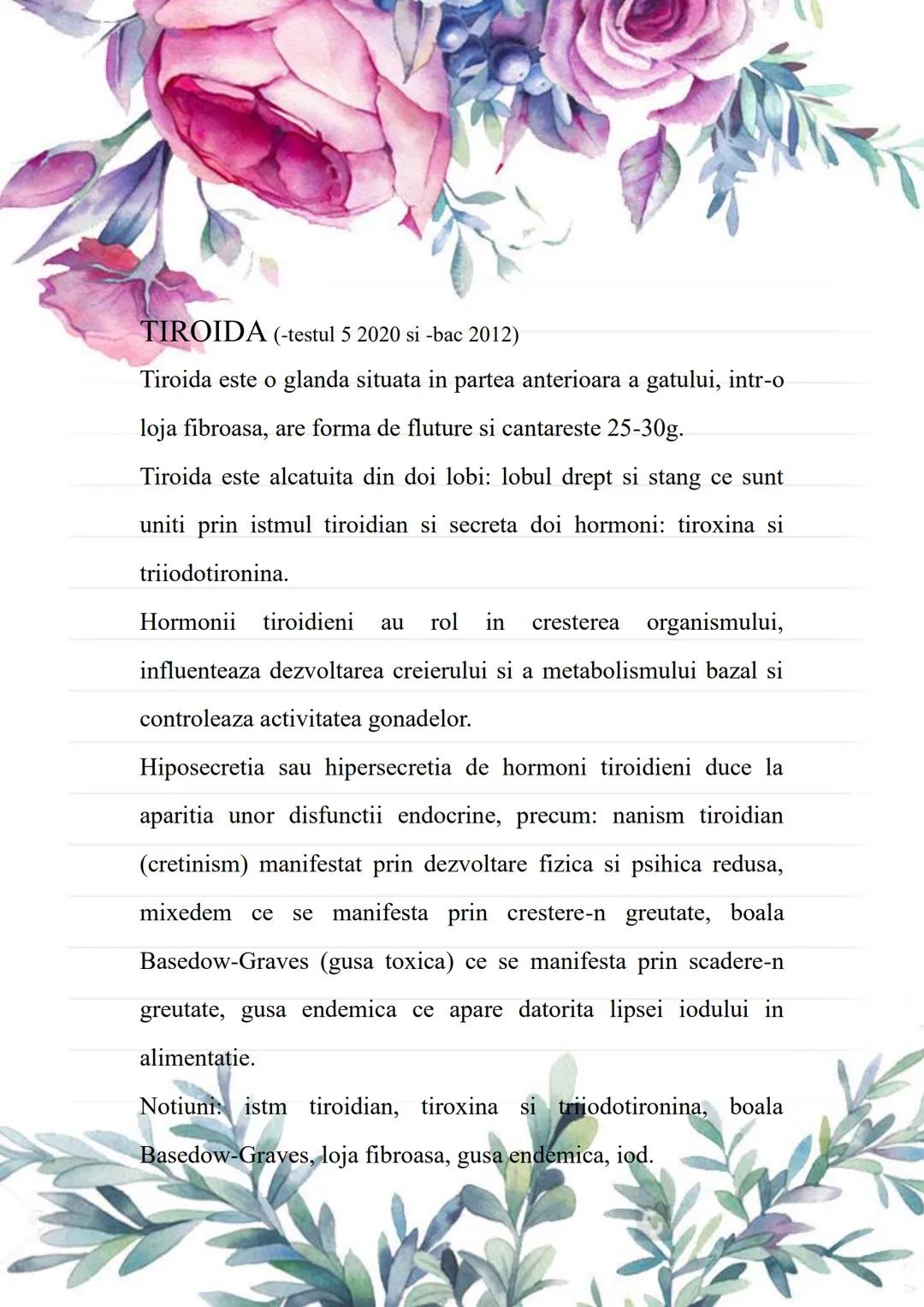 --- OCR Start ---
BACALAUREAT
SUBIII.MINI-ESEURI ANATOMIE
Cursuri de 10 Anatomie
Alexandra Nedelea 0730957398;
cursuride10anatomie@gmail.com
