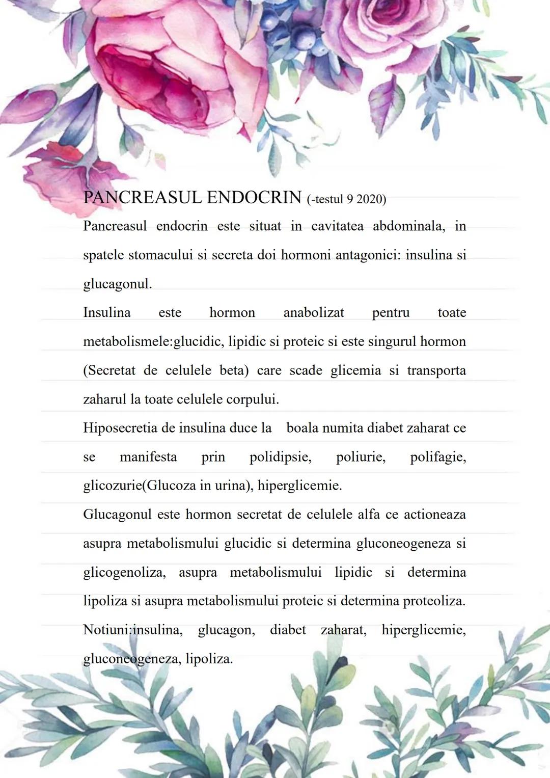 --- OCR Start ---
BACALAUREAT
SUBIII.MINI-ESEURI ANATOMIE
Cursuri de 10 Anatomie
Alexandra Nedelea 0730957398;
cursuride10anatomie@gmail.com