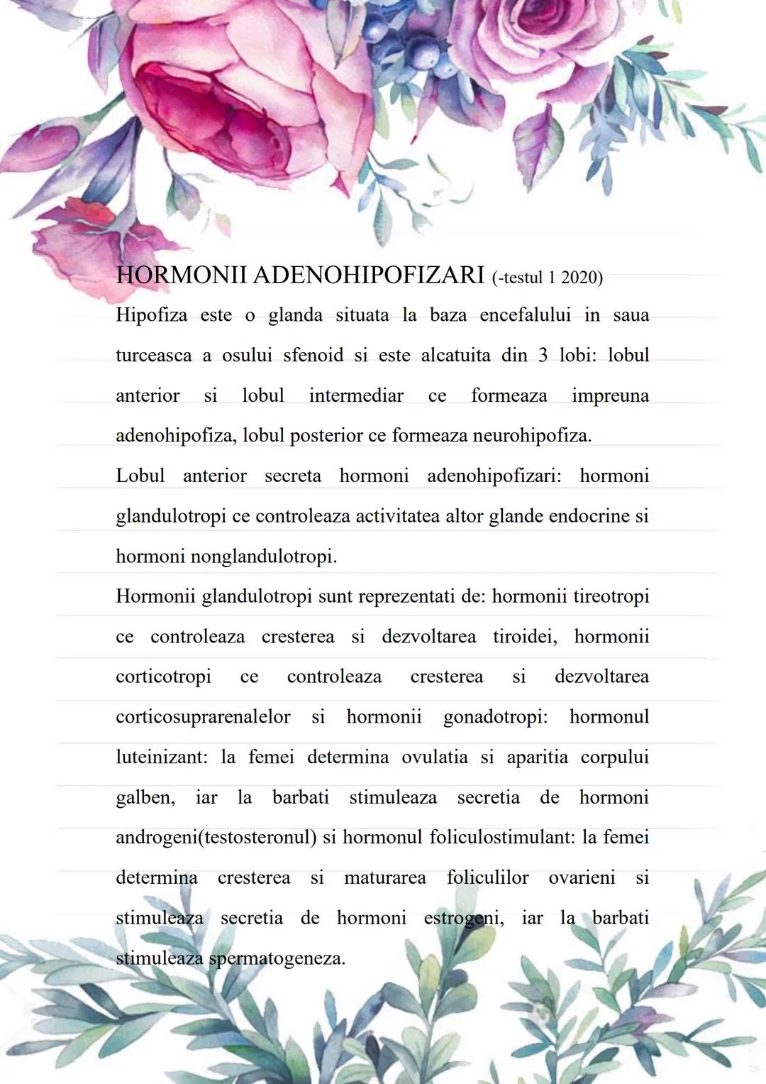 --- OCR Start ---
BACALAUREAT
SUBIII.MINI-ESEURI ANATOMIE
Cursuri de 10 Anatomie
Alexandra Nedelea 0730957398;
cursuride10anatomie@gmail.com