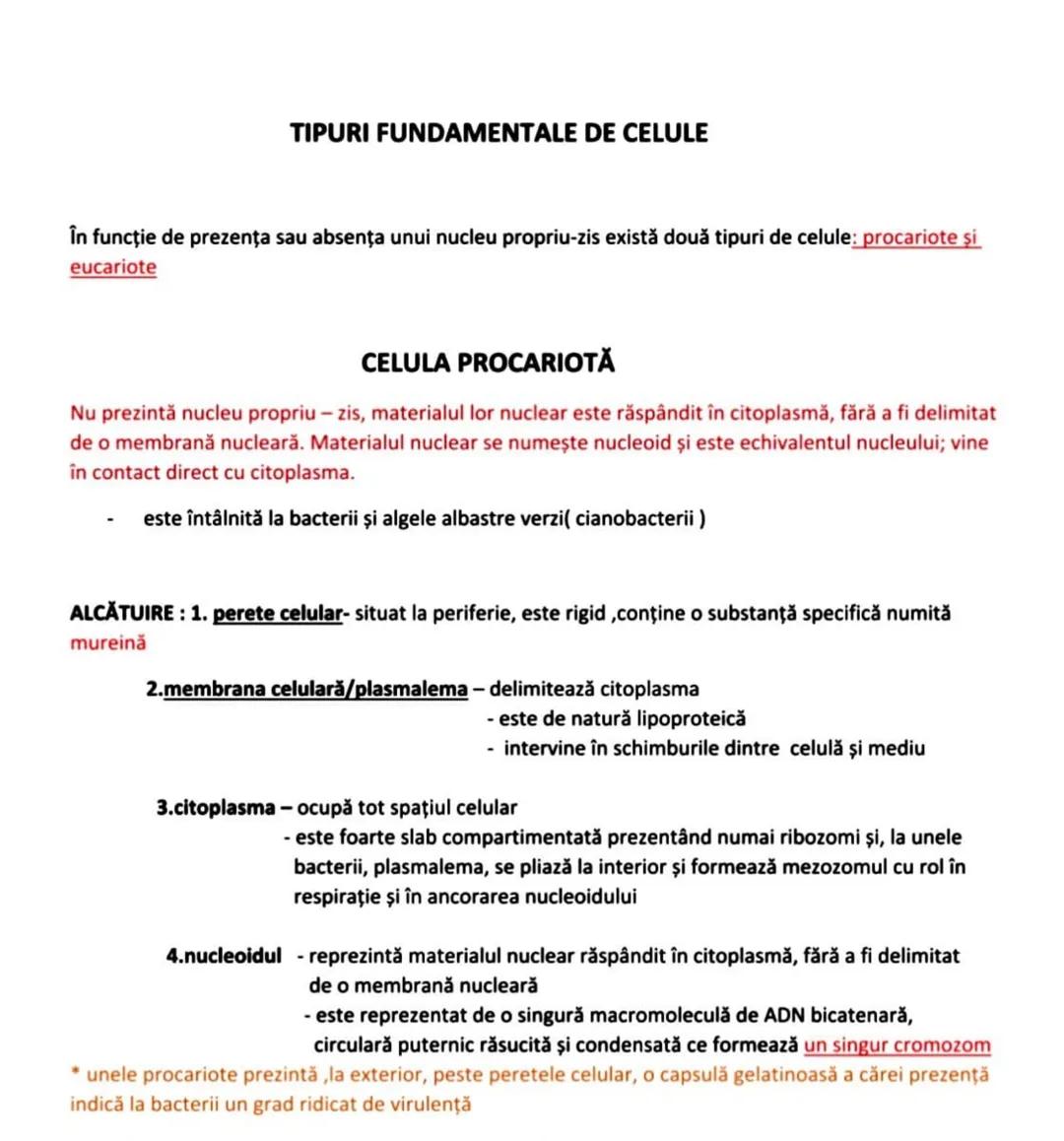 Tipuri fundamentale de celule