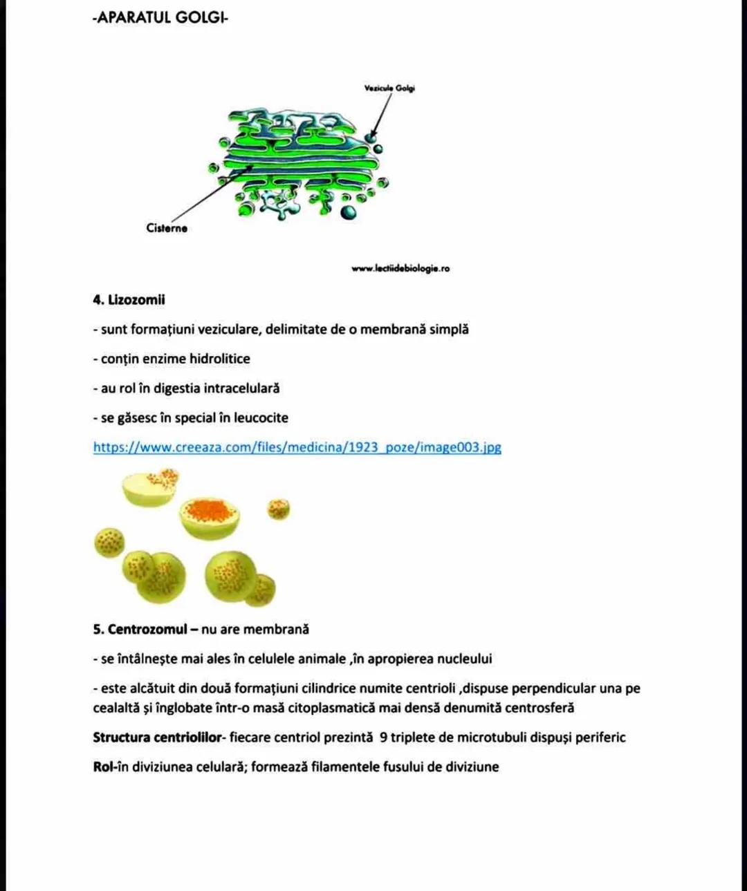 --- OCR Start ---
CITOPLASMA
= masa celulară cuprinsă între plasmalemă şi nucleu
• este formată din: - partea nestructurată=citoplasma funda