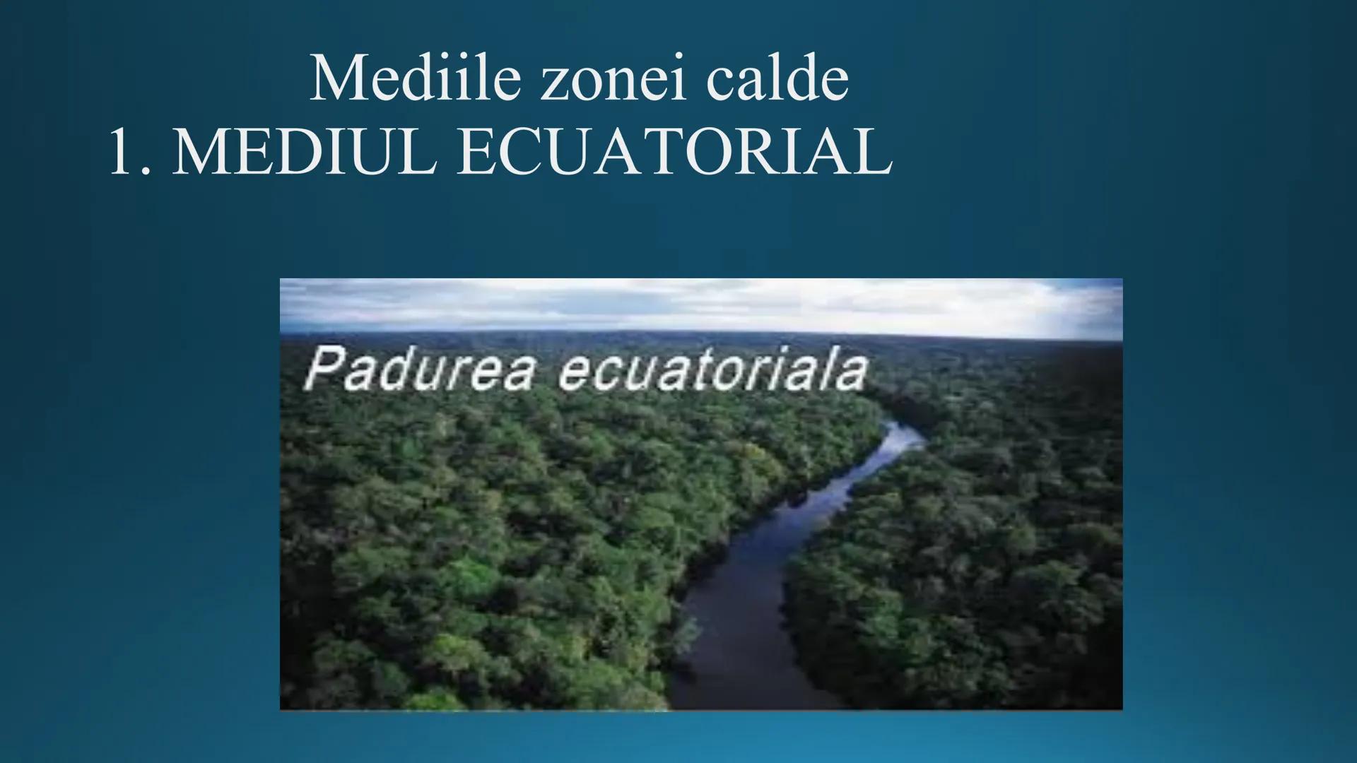 # Tipuri de medii # Mediile zonei calde
# 1. MEDIUL ECUATORIAL
Padurea ecuatoriala # Localizare
* Latitudinal, intre 5-5 grade latitudi