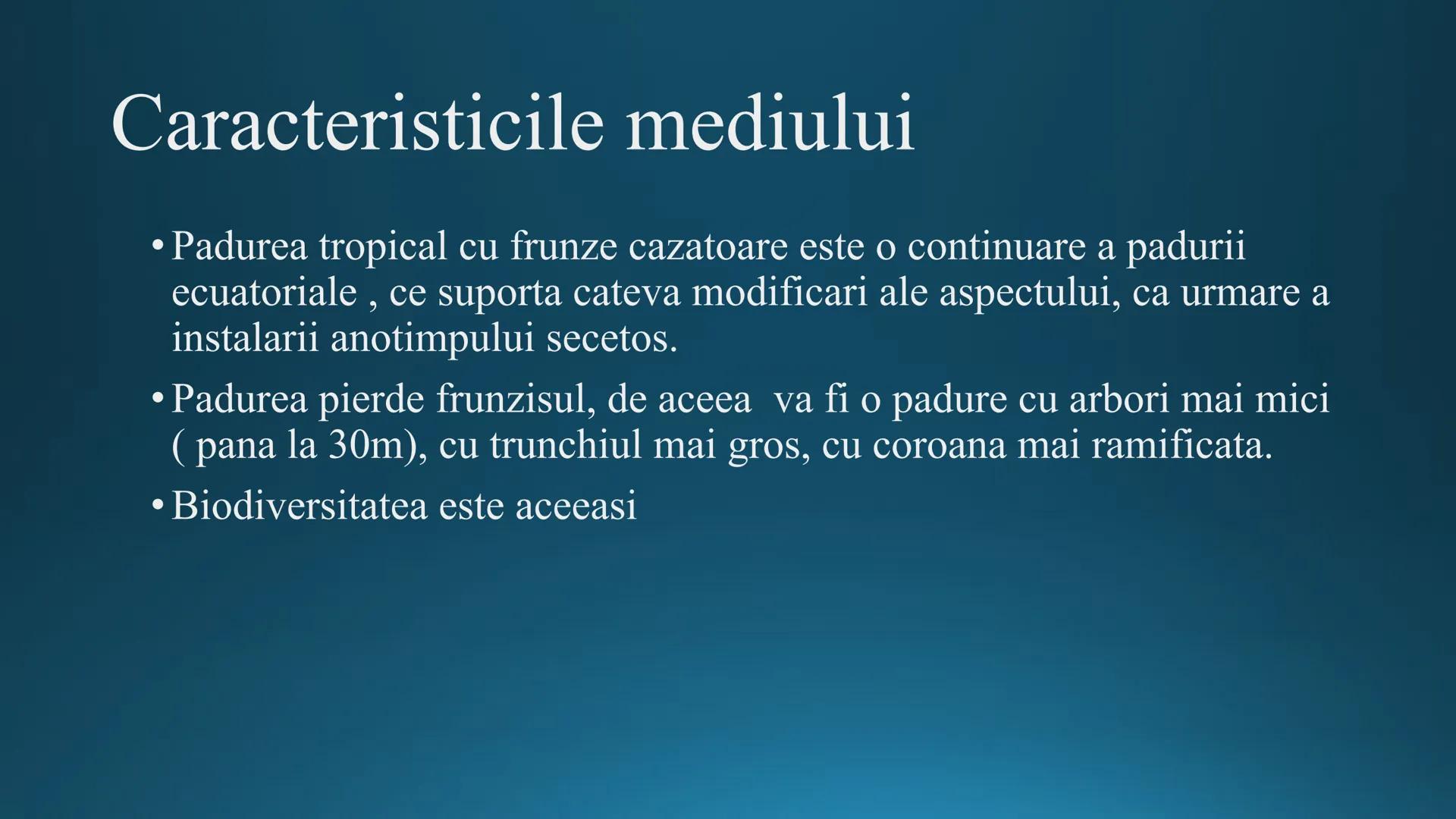 # Tipuri de medii # Mediile zonei calde
# 1. MEDIUL ECUATORIAL
Padurea ecuatoriala # Localizare
* Latitudinal, intre 5-5 grade latitudi