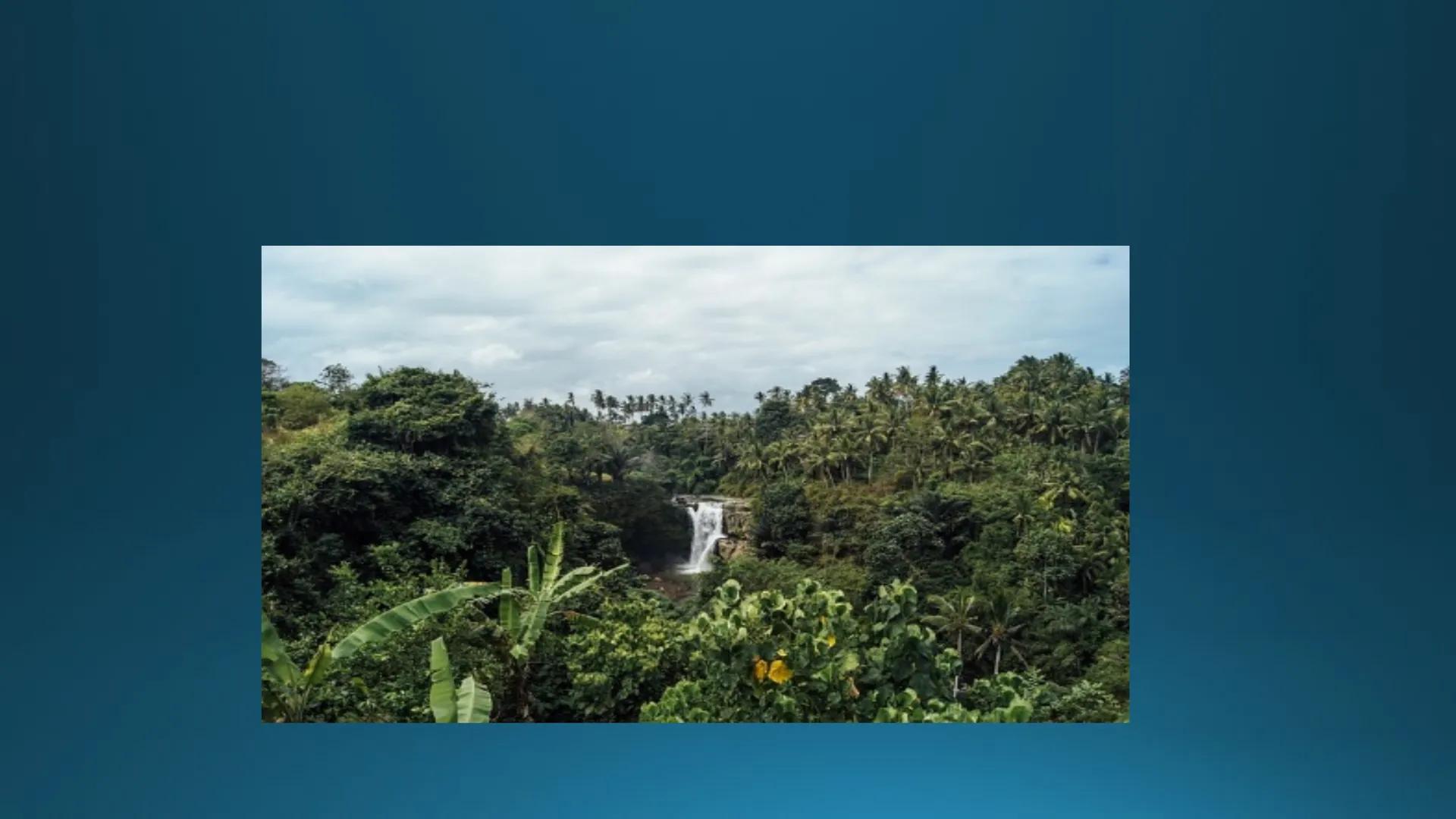 # Tipuri de medii # Mediile zonei calde
# 1. MEDIUL ECUATORIAL
Padurea ecuatoriala # Localizare
* Latitudinal, intre 5-5 grade latitudi