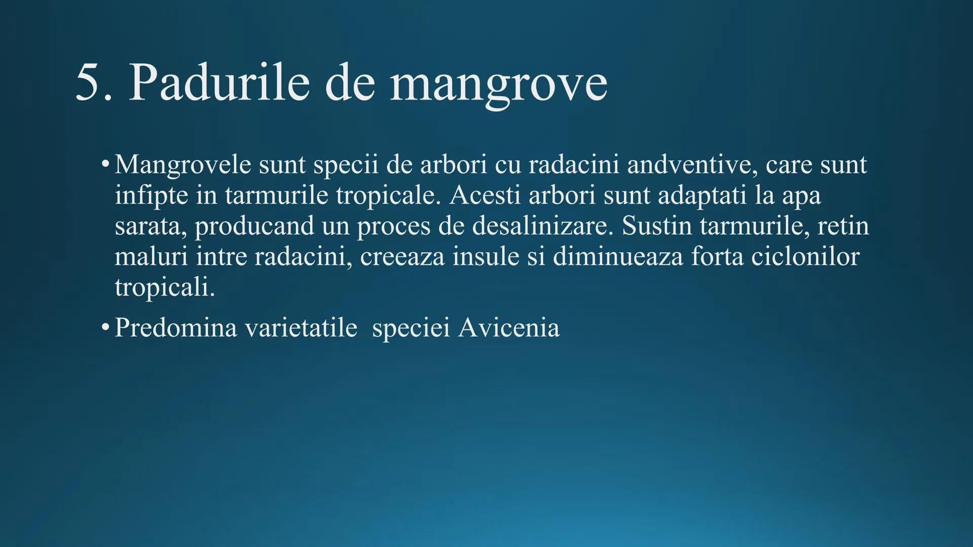 # Tipuri de medii # Mediile zonei calde
# 1. MEDIUL ECUATORIAL
Padurea ecuatoriala # Localizare
* Latitudinal, intre 5-5 grade latitudi