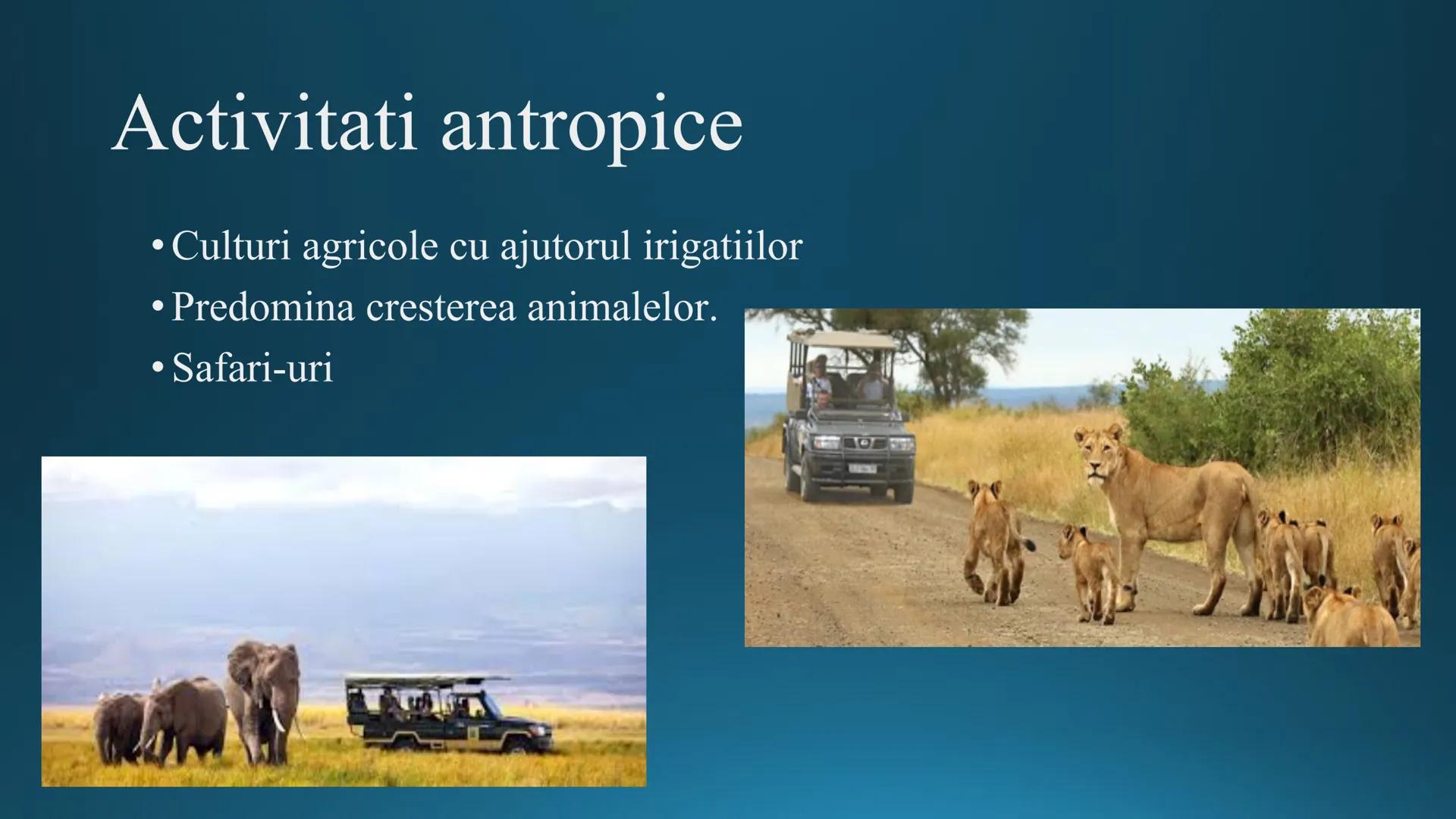 # Tipuri de medii # Mediile zonei calde
# 1. MEDIUL ECUATORIAL
Padurea ecuatoriala # Localizare
* Latitudinal, intre 5-5 grade latitudi