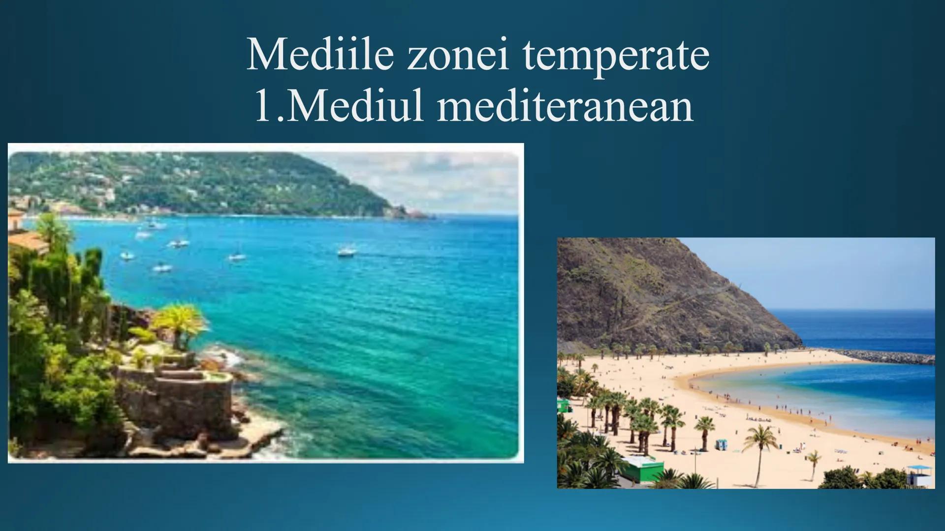 # Tipuri de medii # Mediile zonei calde
# 1. MEDIUL ECUATORIAL
Padurea ecuatoriala # Localizare
* Latitudinal, intre 5-5 grade latitudi