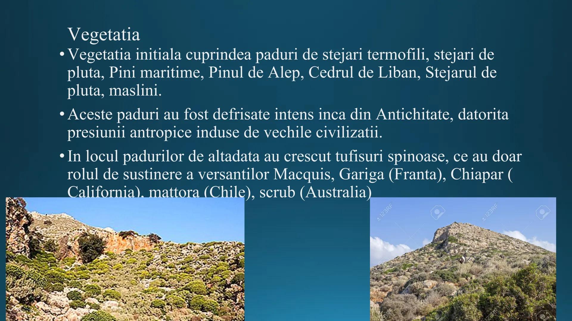 # Tipuri de medii # Mediile zonei calde
# 1. MEDIUL ECUATORIAL
Padurea ecuatoriala # Localizare
* Latitudinal, intre 5-5 grade latitudi