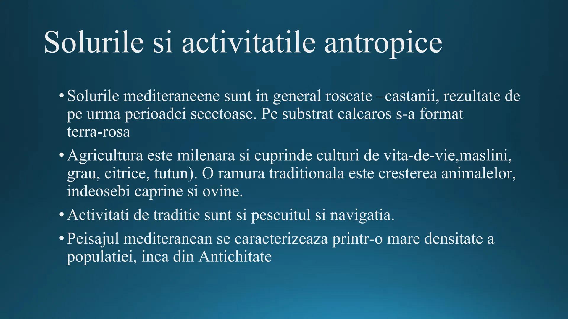 # Tipuri de medii # Mediile zonei calde
# 1. MEDIUL ECUATORIAL
Padurea ecuatoriala # Localizare
* Latitudinal, intre 5-5 grade latitudi