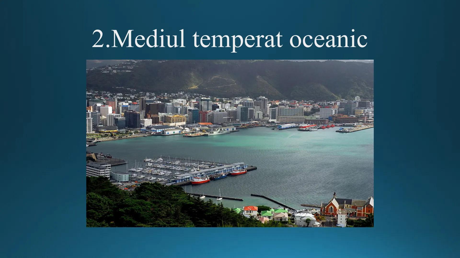 # Tipuri de medii # Mediile zonei calde
# 1. MEDIUL ECUATORIAL
Padurea ecuatoriala # Localizare
* Latitudinal, intre 5-5 grade latitudi