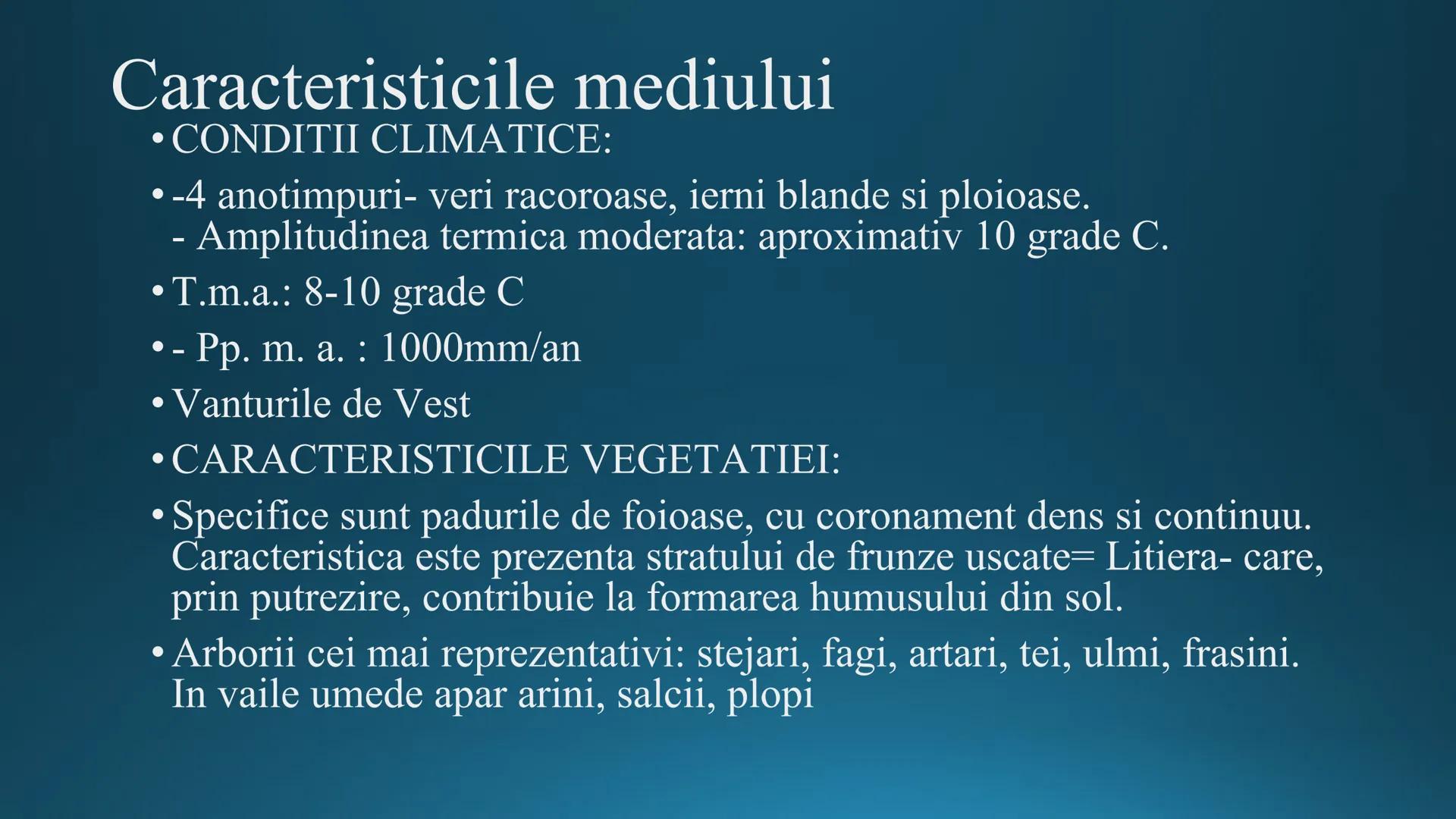 # Tipuri de medii # Mediile zonei calde
# 1. MEDIUL ECUATORIAL
Padurea ecuatoriala # Localizare
* Latitudinal, intre 5-5 grade latitudi