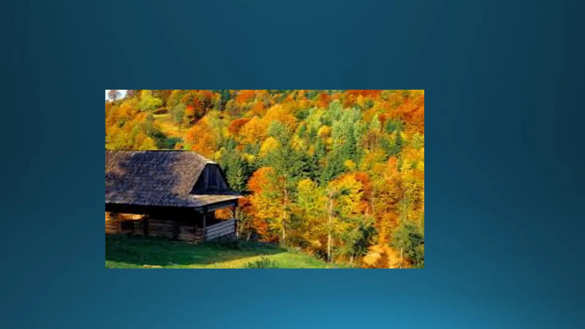 # Tipuri de medii # Mediile zonei calde
# 1. MEDIUL ECUATORIAL
Padurea ecuatoriala # Localizare
* Latitudinal, intre 5-5 grade latitudi