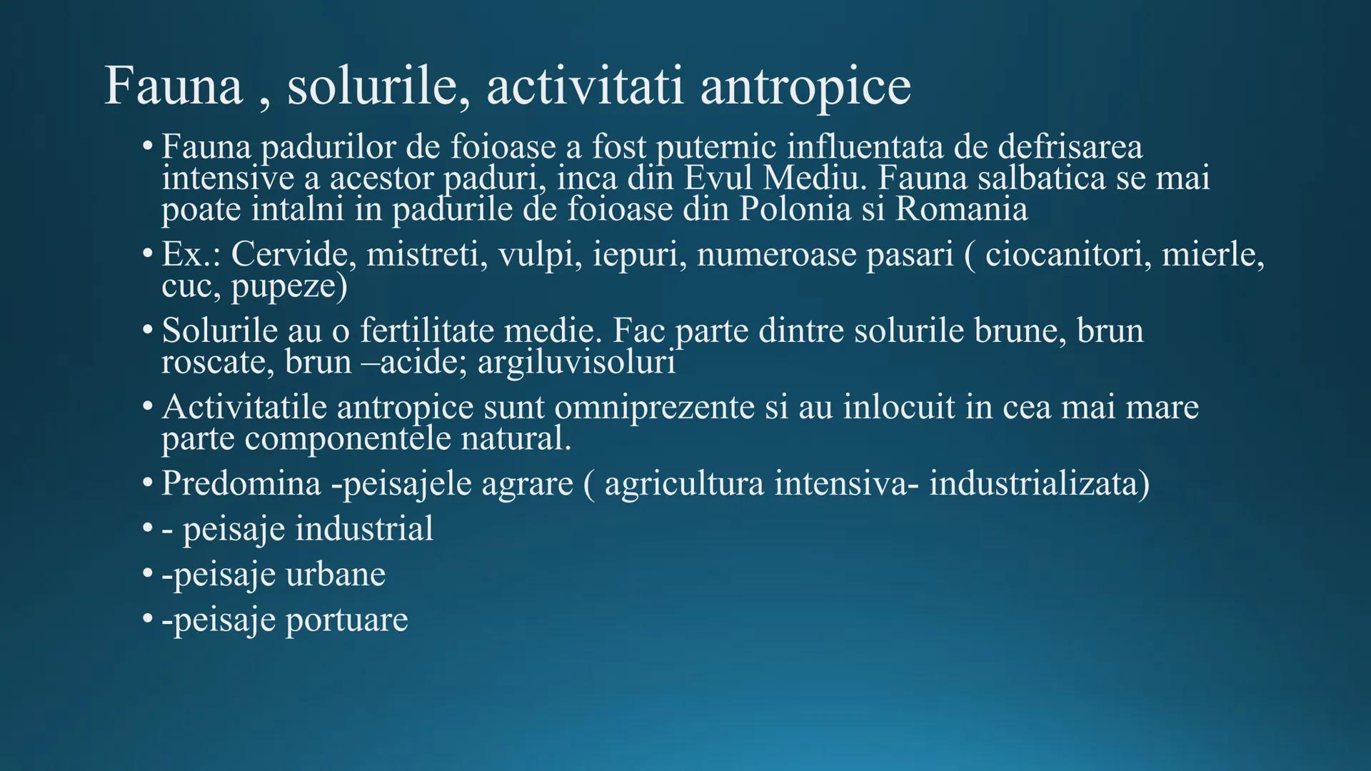 # Tipuri de medii # Mediile zonei calde
# 1. MEDIUL ECUATORIAL
Padurea ecuatoriala # Localizare
* Latitudinal, intre 5-5 grade latitudi