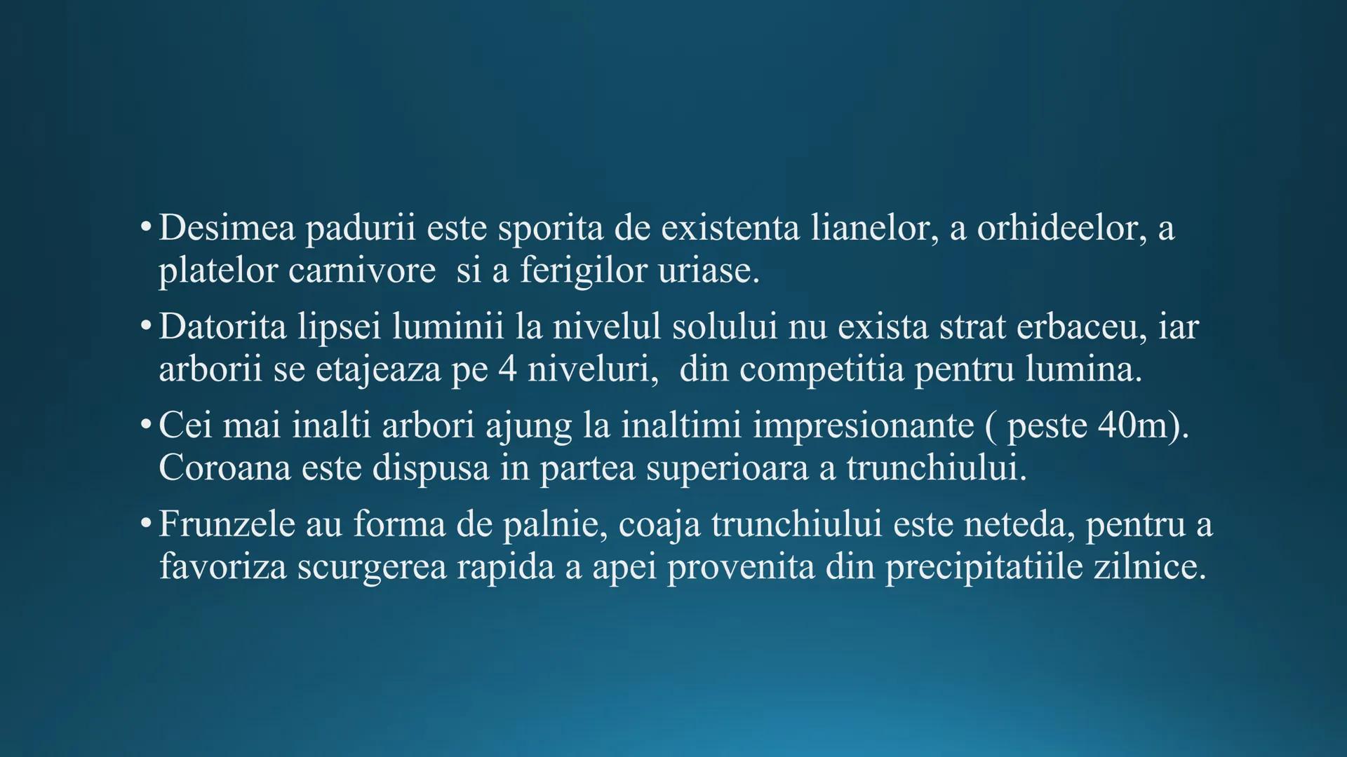 # Tipuri de medii # Mediile zonei calde
# 1. MEDIUL ECUATORIAL
Padurea ecuatoriala # Localizare
* Latitudinal, intre 5-5 grade latitudi