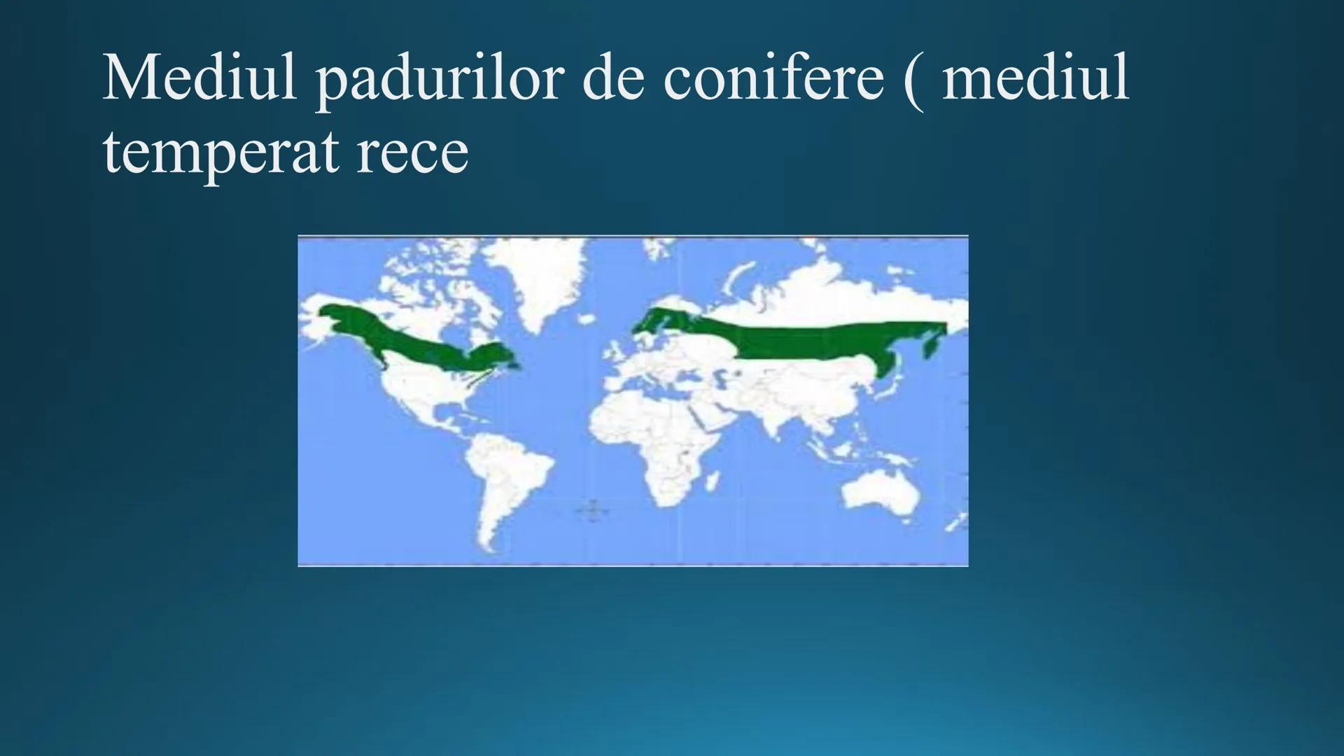 # Tipuri de medii # Mediile zonei calde
# 1. MEDIUL ECUATORIAL
Padurea ecuatoriala # Localizare
* Latitudinal, intre 5-5 grade latitudi