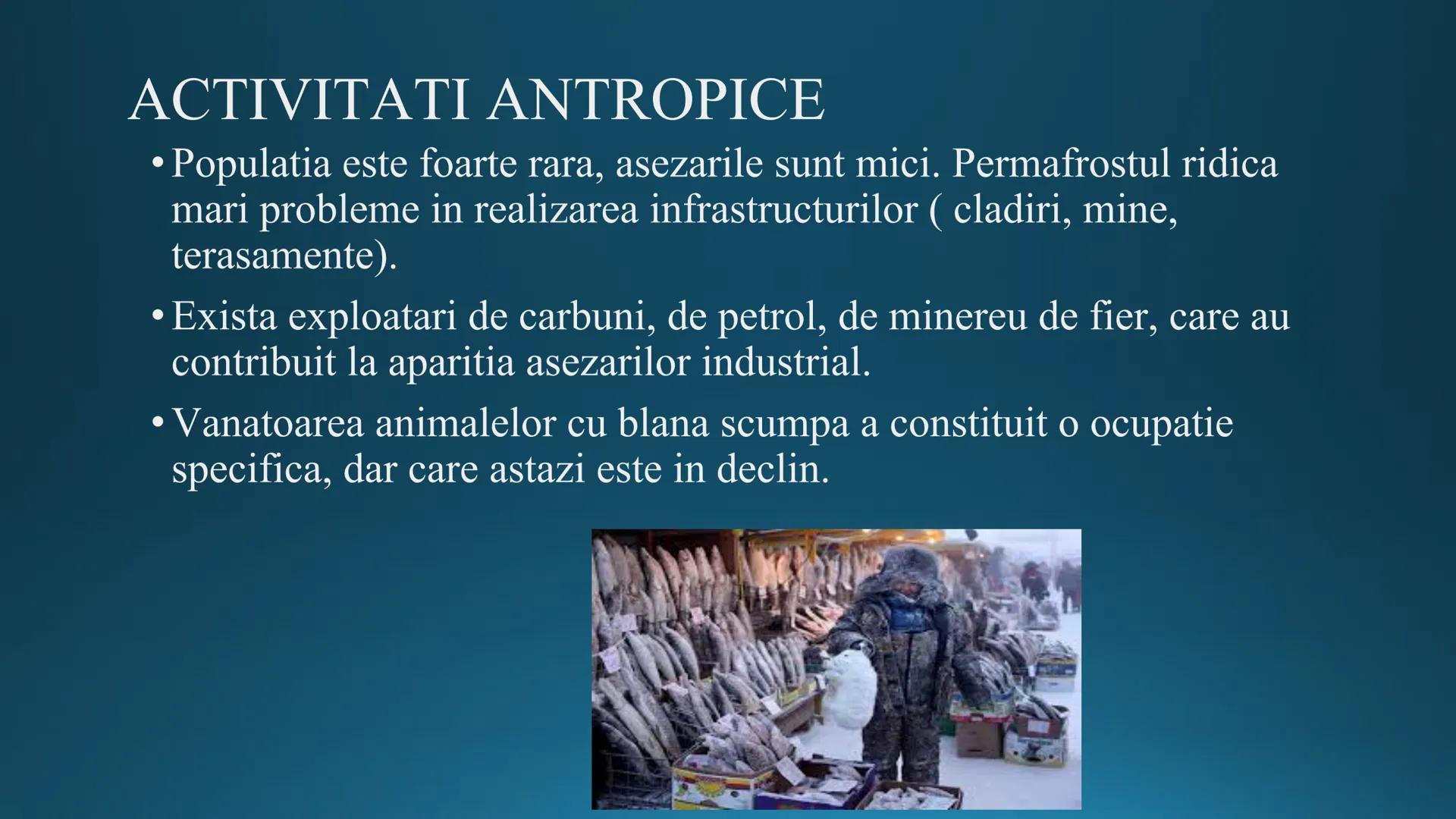 # Tipuri de medii # Mediile zonei calde
# 1. MEDIUL ECUATORIAL
Padurea ecuatoriala # Localizare
* Latitudinal, intre 5-5 grade latitudi