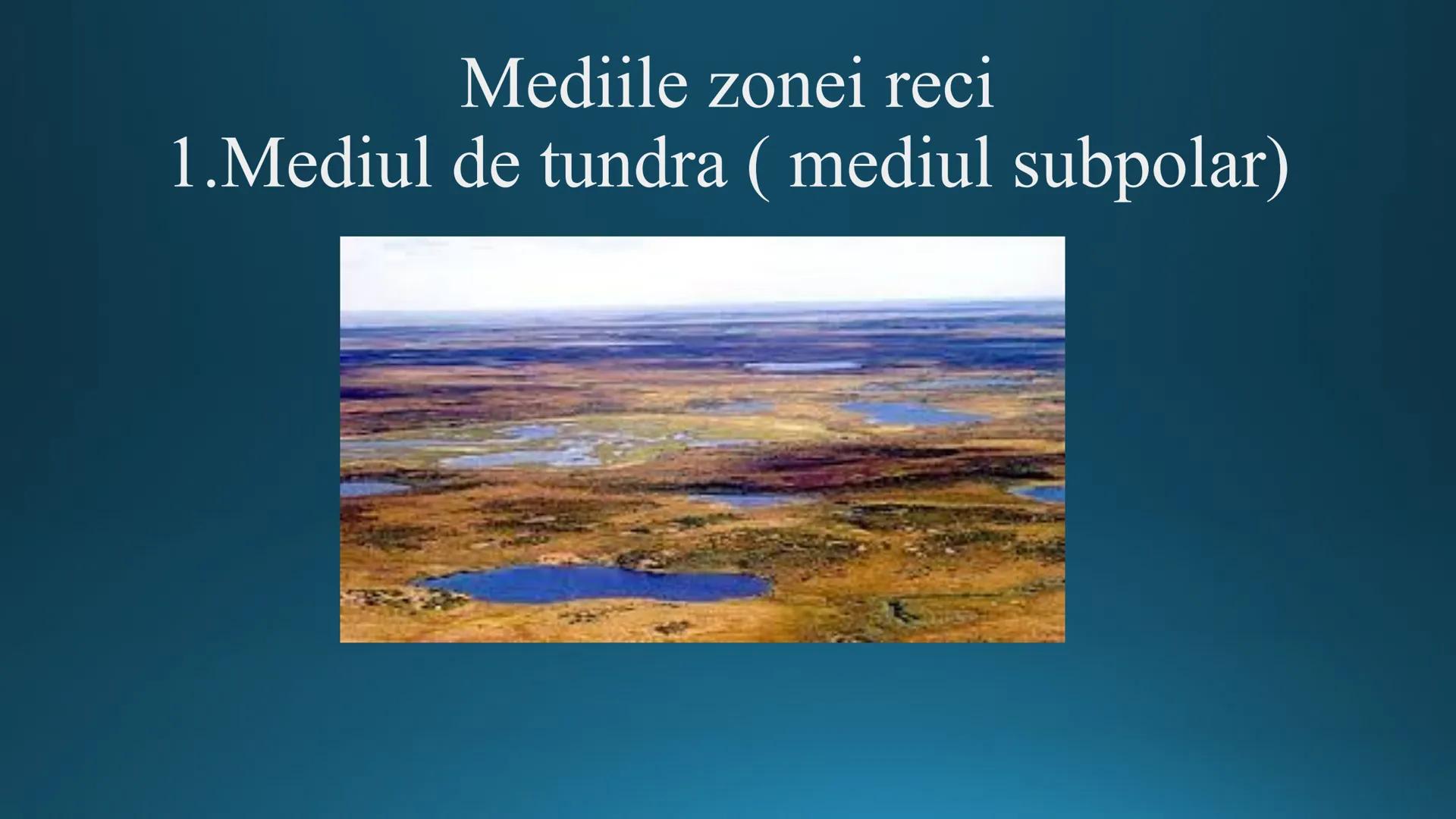 # Tipuri de medii # Mediile zonei calde
# 1. MEDIUL ECUATORIAL
Padurea ecuatoriala # Localizare
* Latitudinal, intre 5-5 grade latitudi