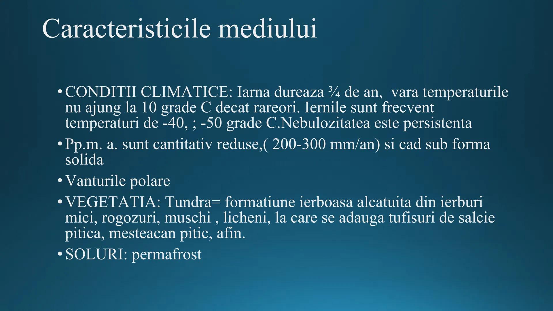 # Tipuri de medii # Mediile zonei calde
# 1. MEDIUL ECUATORIAL
Padurea ecuatoriala # Localizare
* Latitudinal, intre 5-5 grade latitudi