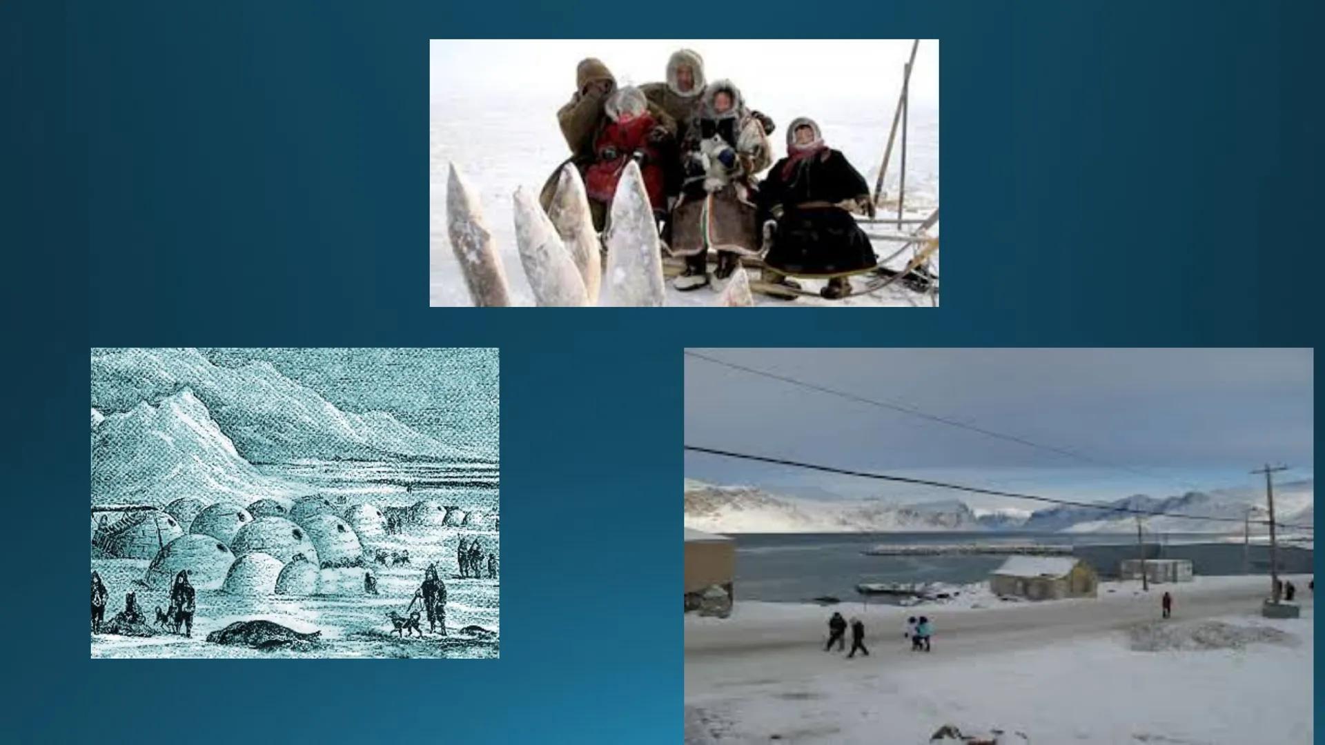 # Tipuri de medii # Mediile zonei calde
# 1. MEDIUL ECUATORIAL
Padurea ecuatoriala # Localizare
* Latitudinal, intre 5-5 grade latitudi