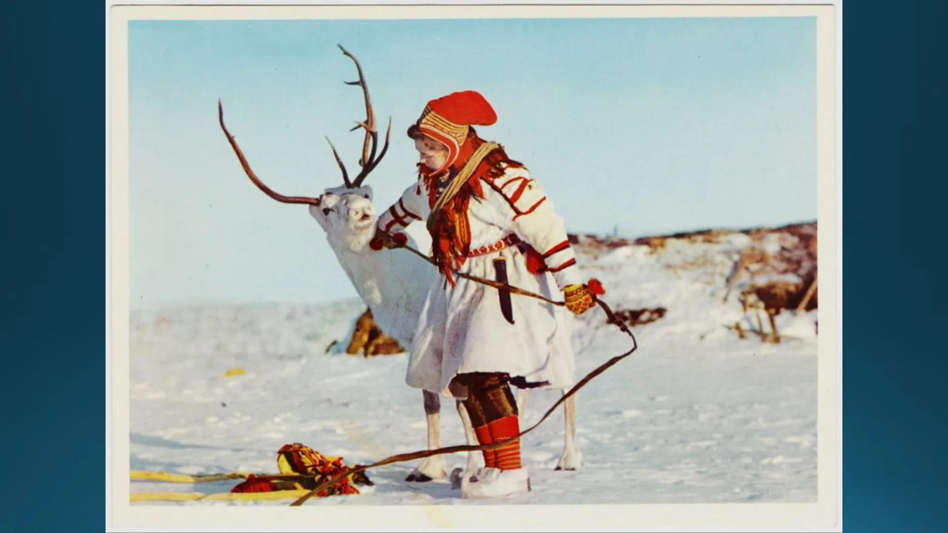 # Tipuri de medii # Mediile zonei calde
# 1. MEDIUL ECUATORIAL
Padurea ecuatoriala # Localizare
* Latitudinal, intre 5-5 grade latitudi