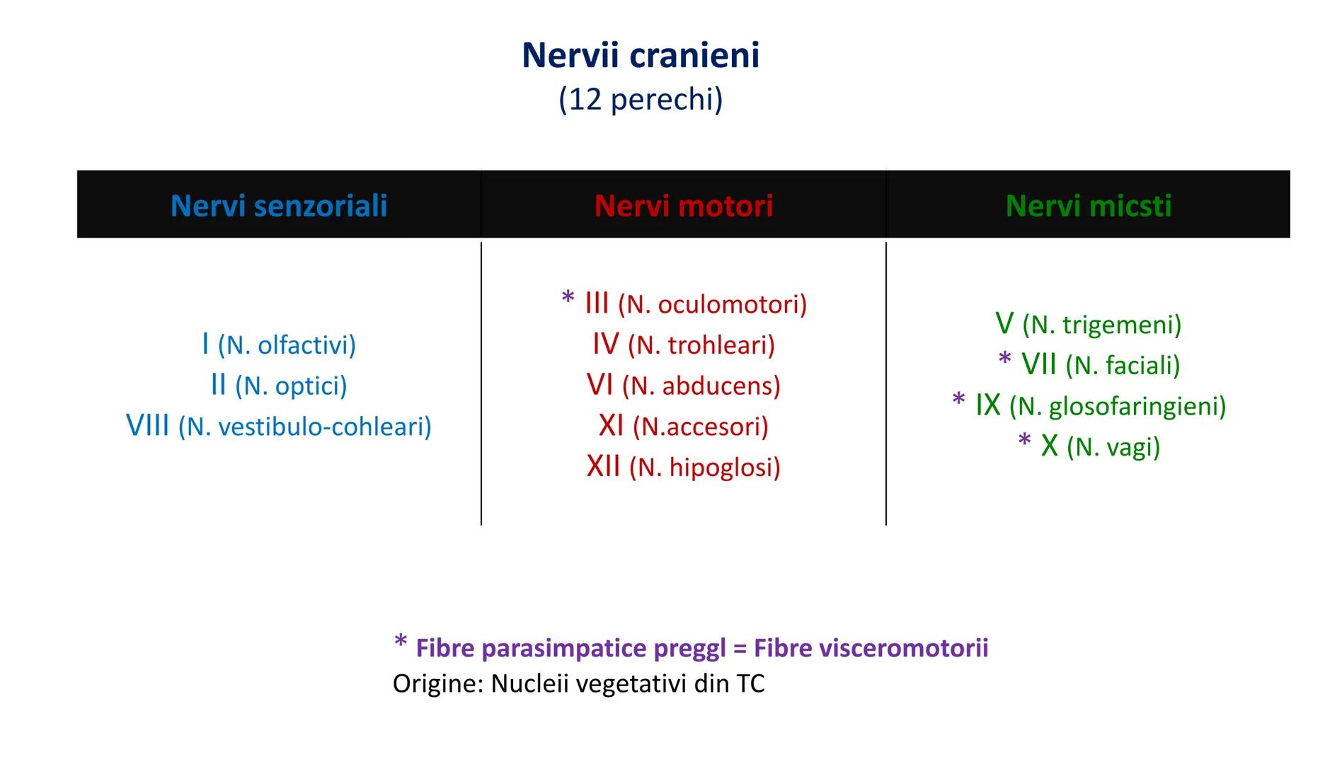 Atom
Tissue
Organelle
Cell
Macromolecule
Chromosome
Molecule
Nucleus
Cell
Nucleosome
DNA
Nucleotide
base pairs:
Guanine
Cytosine
Ad