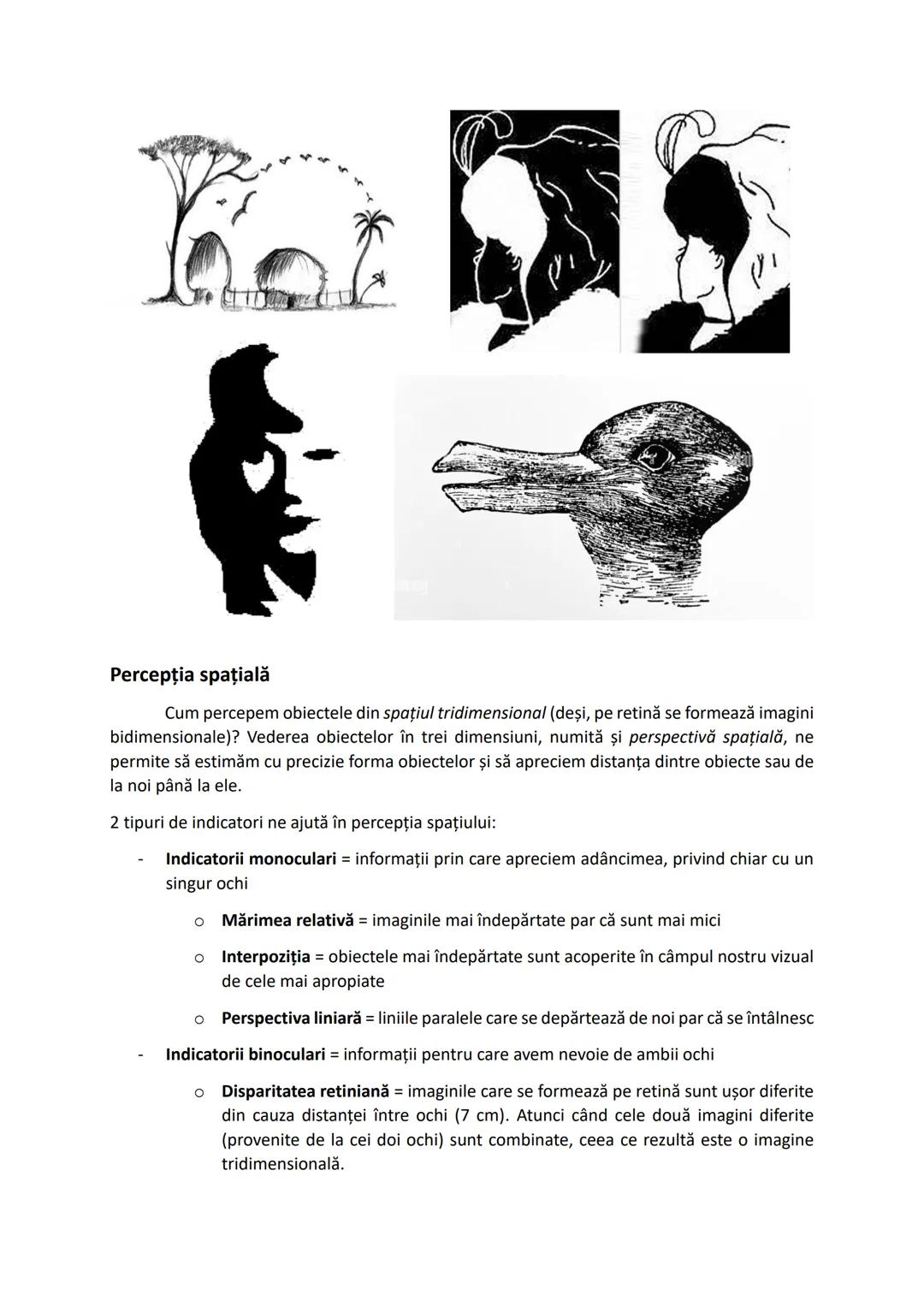 --- OCR Start ---
PERCEPŢIILE
Definiţie: Percepţiile sunt procese senzoriale complexe și, totodată, imagini primare,
conţinând totalitatea i