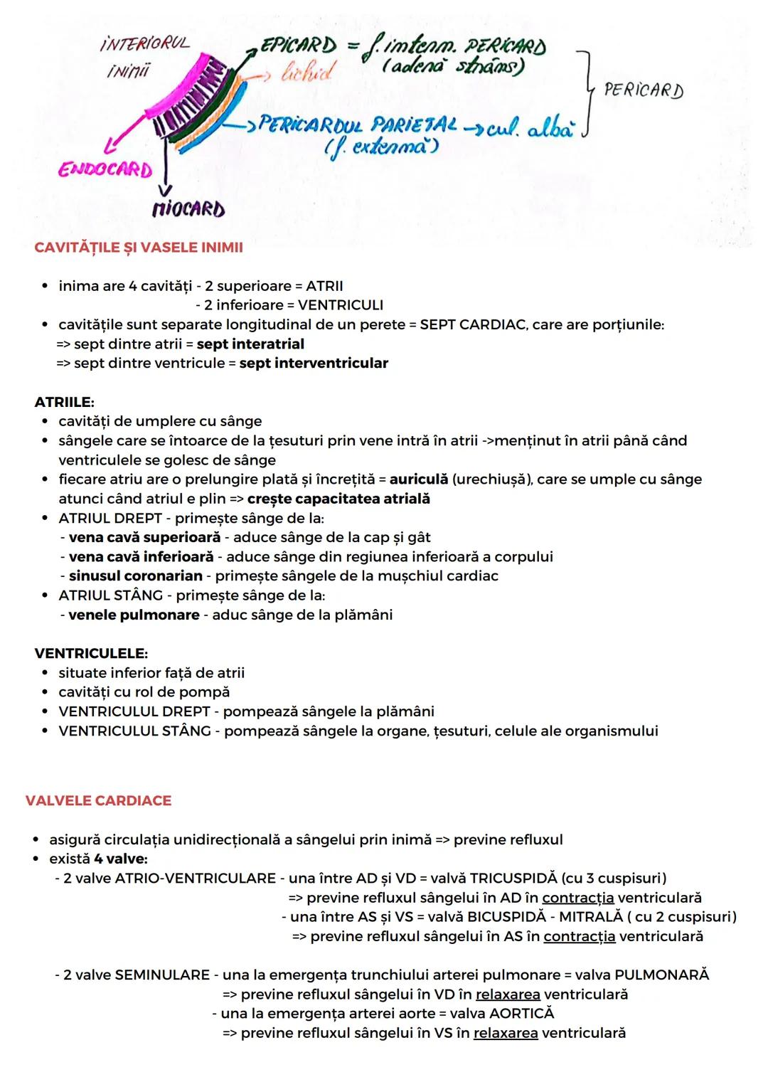 --- OCR Start ---
SIST. CARDIOVASCULAR
* este responsabil de furnizarea nutrienților și a oxigenului către țesuturi
* responsabil de îndepăr